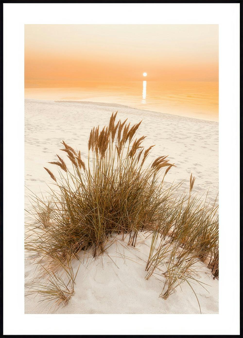 Golden Beach Grass Poster 0