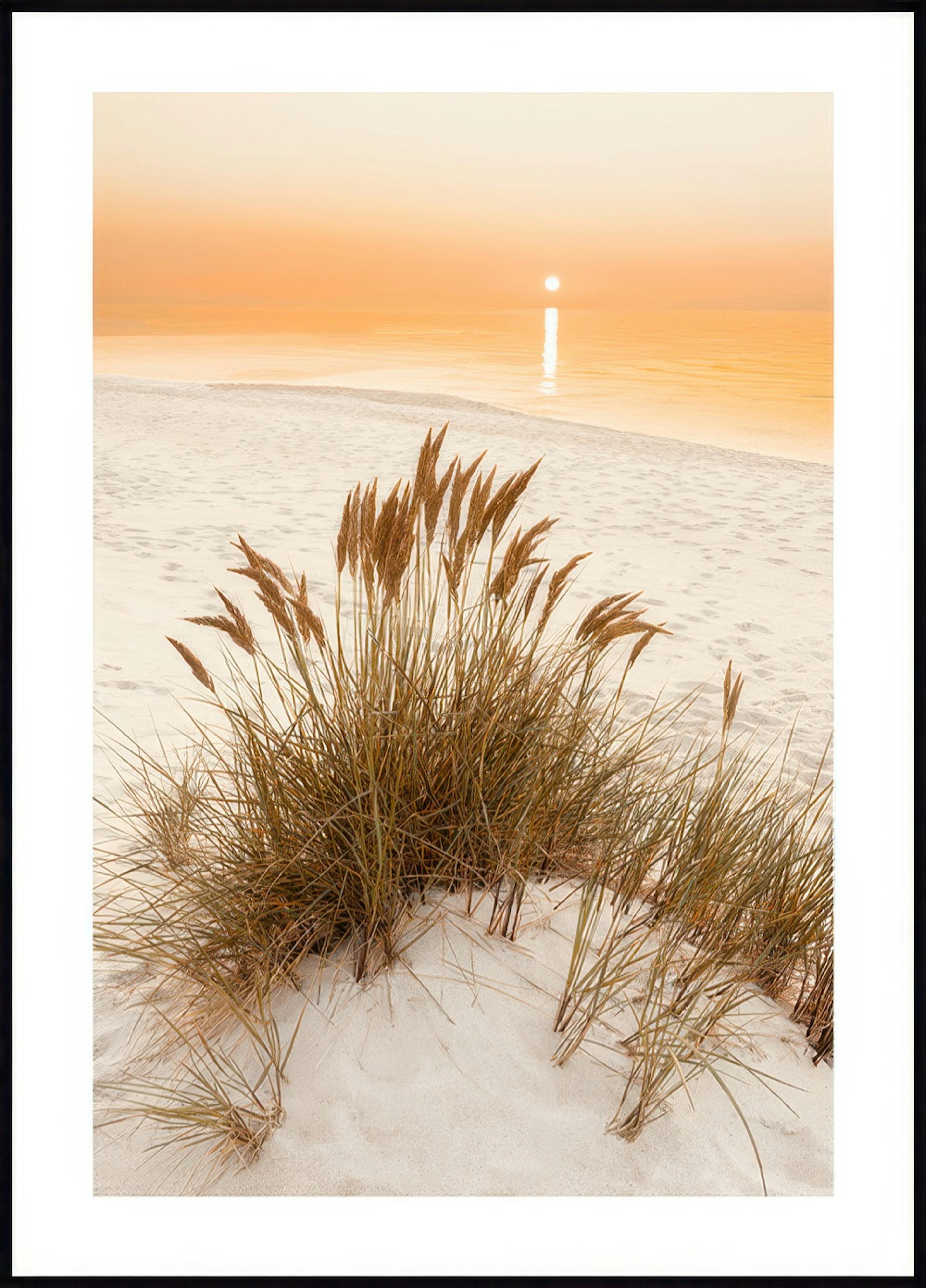 Golden Beach Grass Poster 0