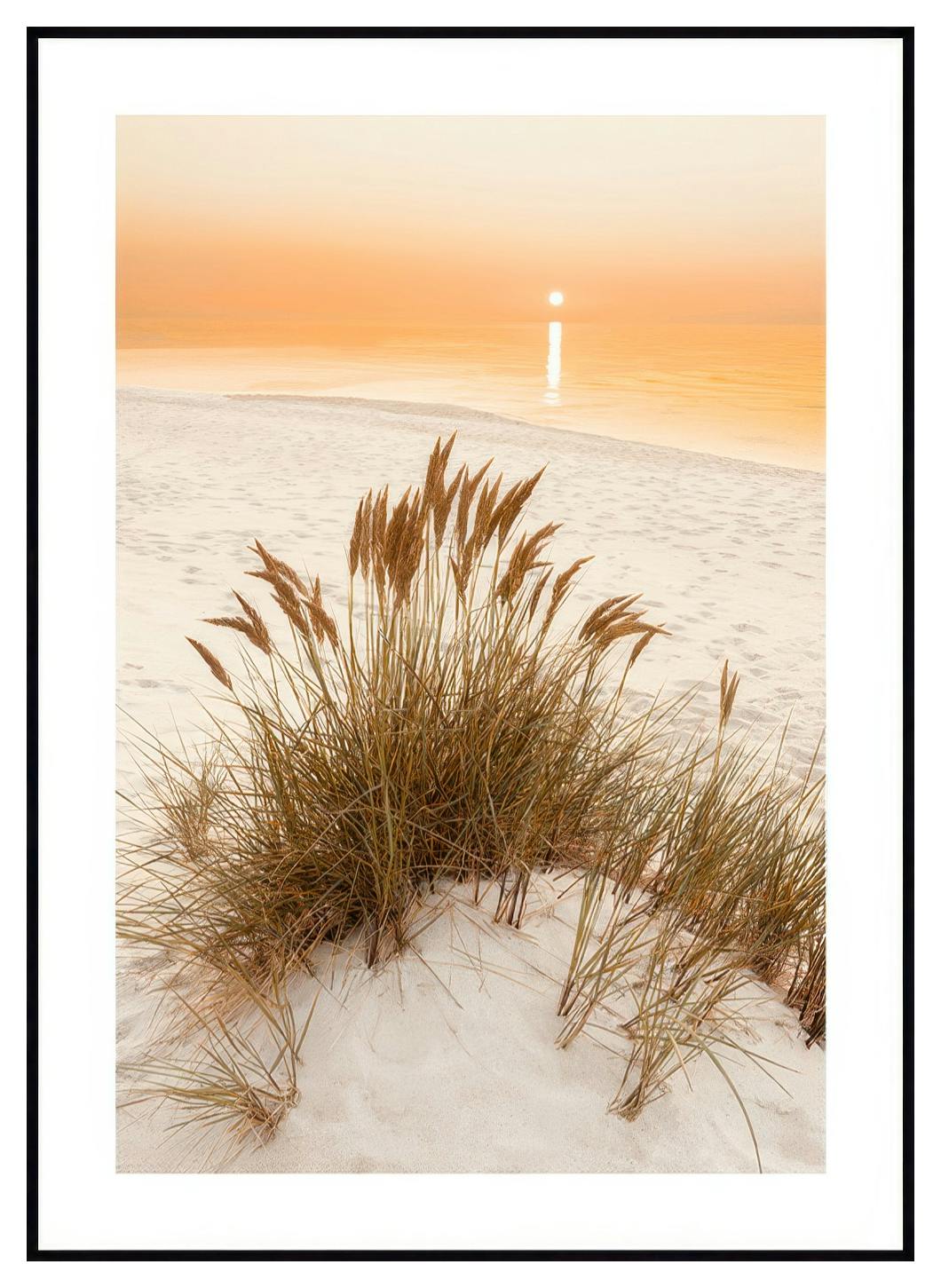 Golden Beach Grass Poster (21x30 cm) - Poster Store