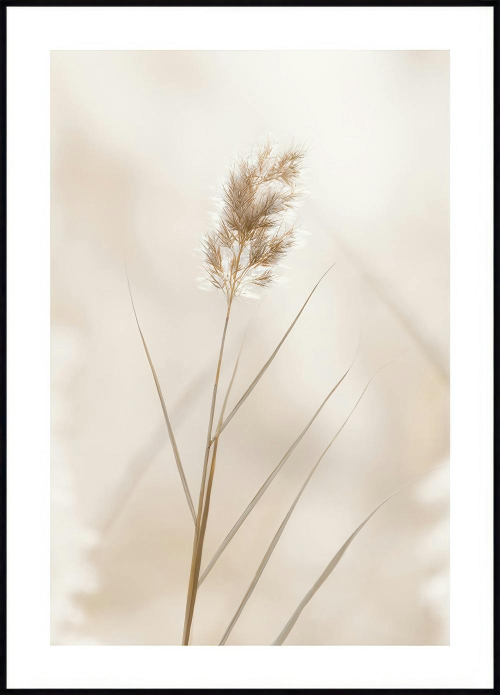 Lonely Reed Poster 0