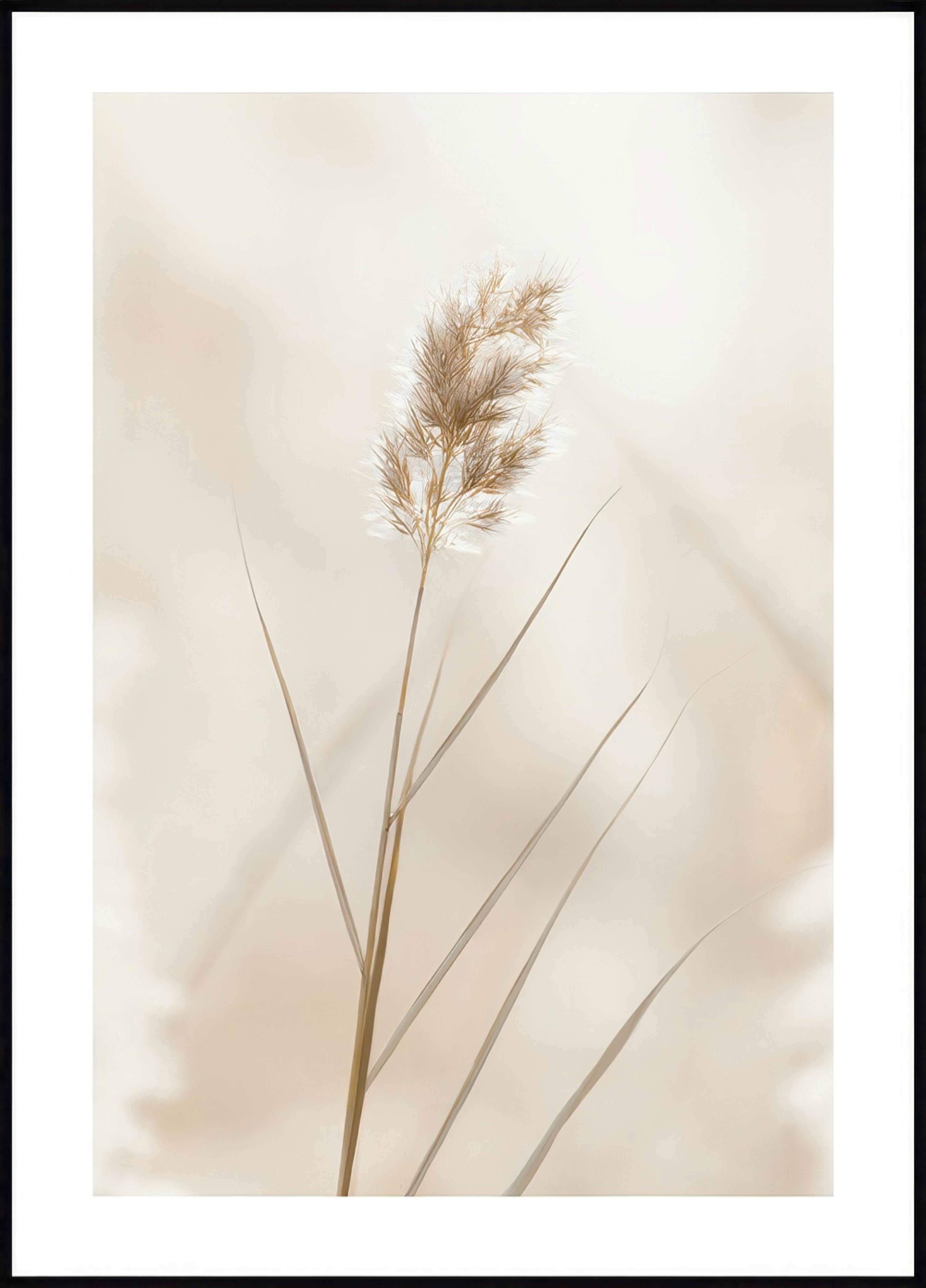 Roseau solitaire Poster 0