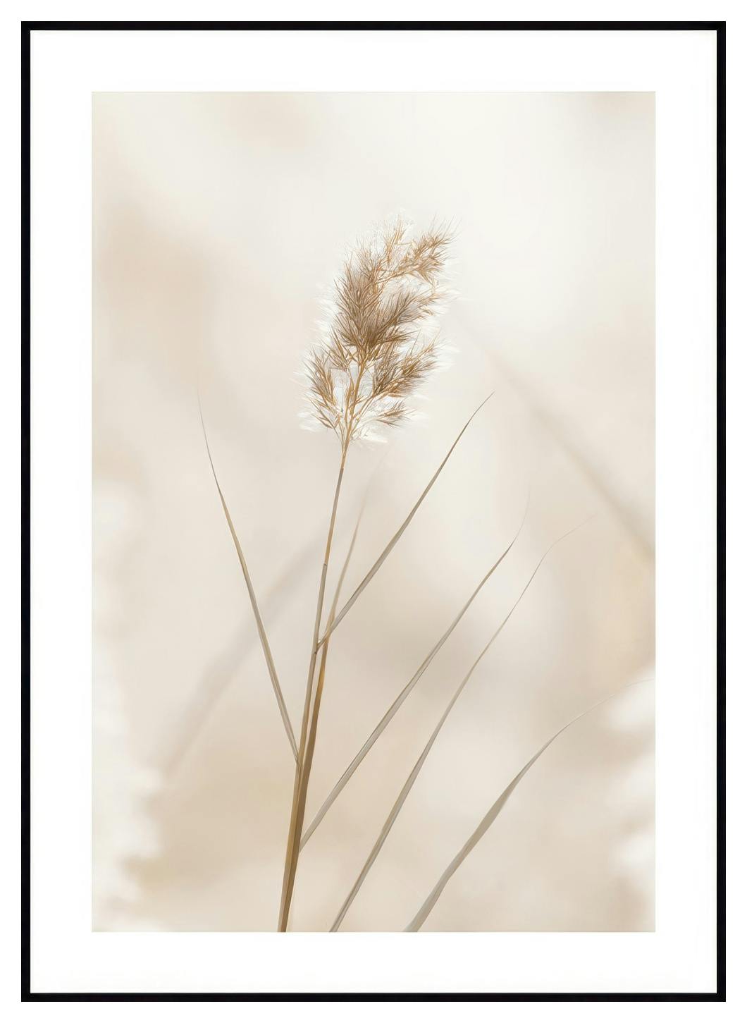 Plakat Samotnej Reed (50x70 cm) - Poster Store