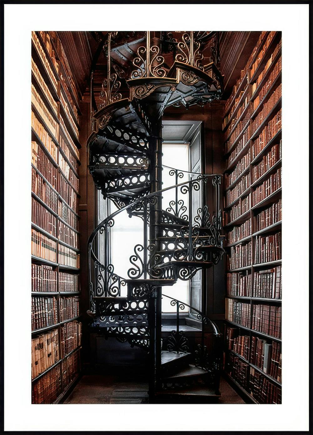 Bibliotekstrappa Poster 0