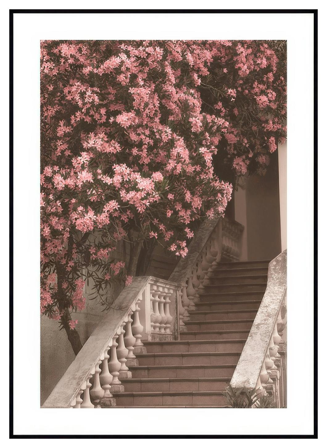 Poster della scala dei fiori (30x40 cm) - Poster Store