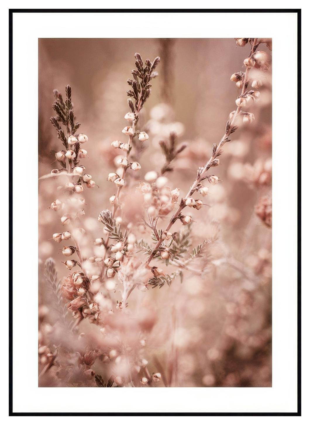 Lyngblomster-plakat (21x30 cm) - Poster Store