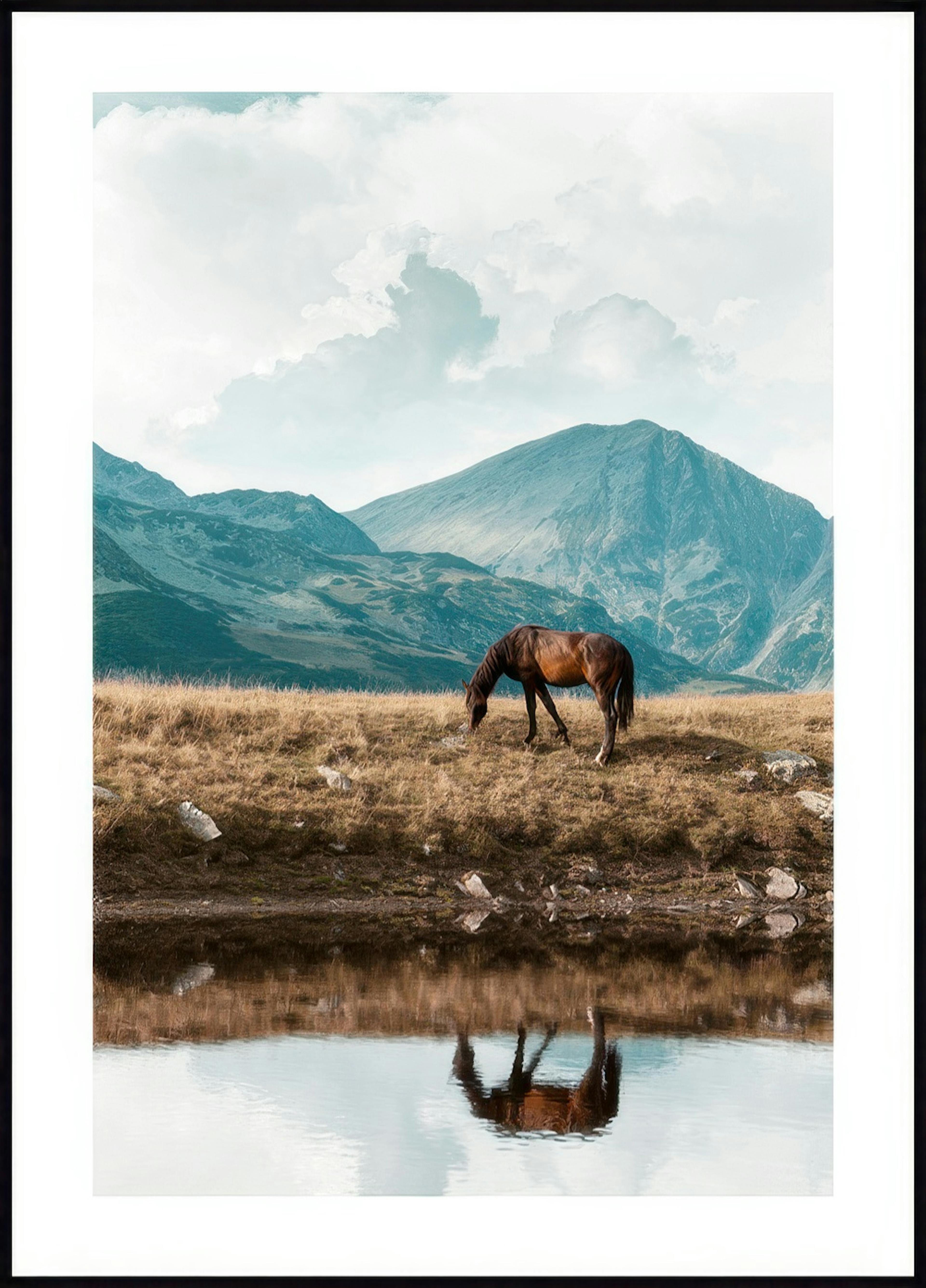 Cheval des Highlands Poster 0