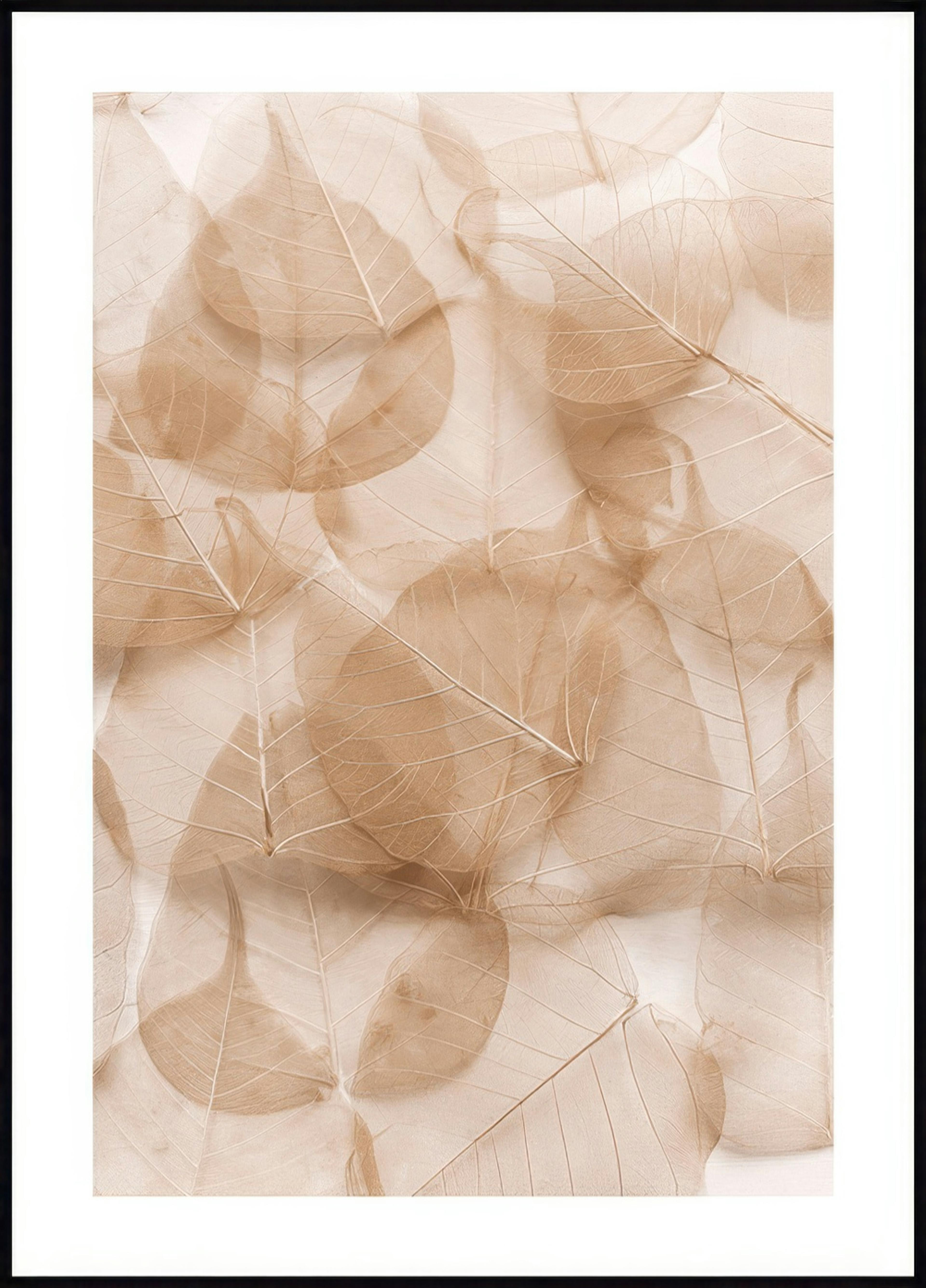 Transparent Leaves Poster 0