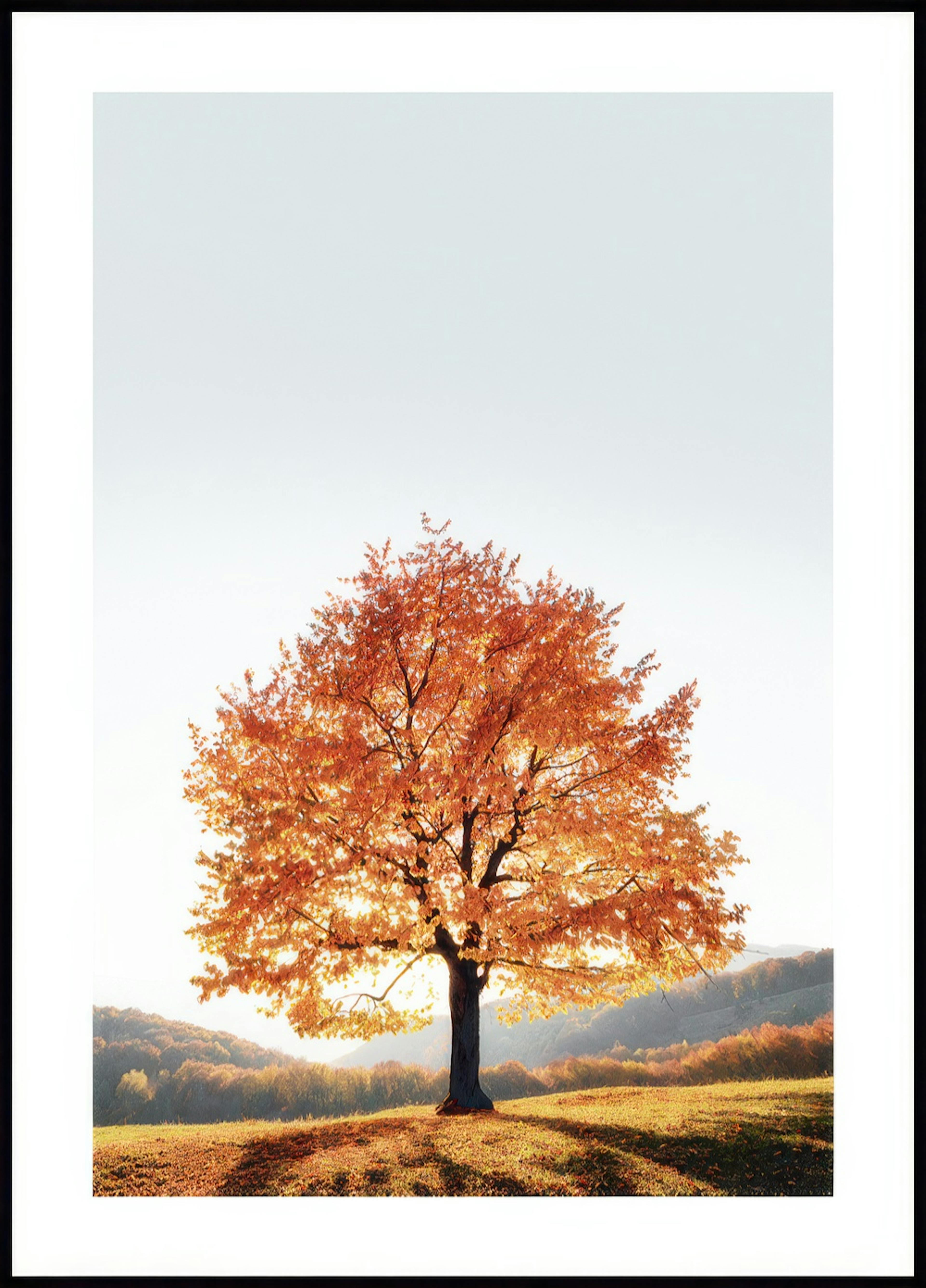 Dramatic Tree Poster 0
