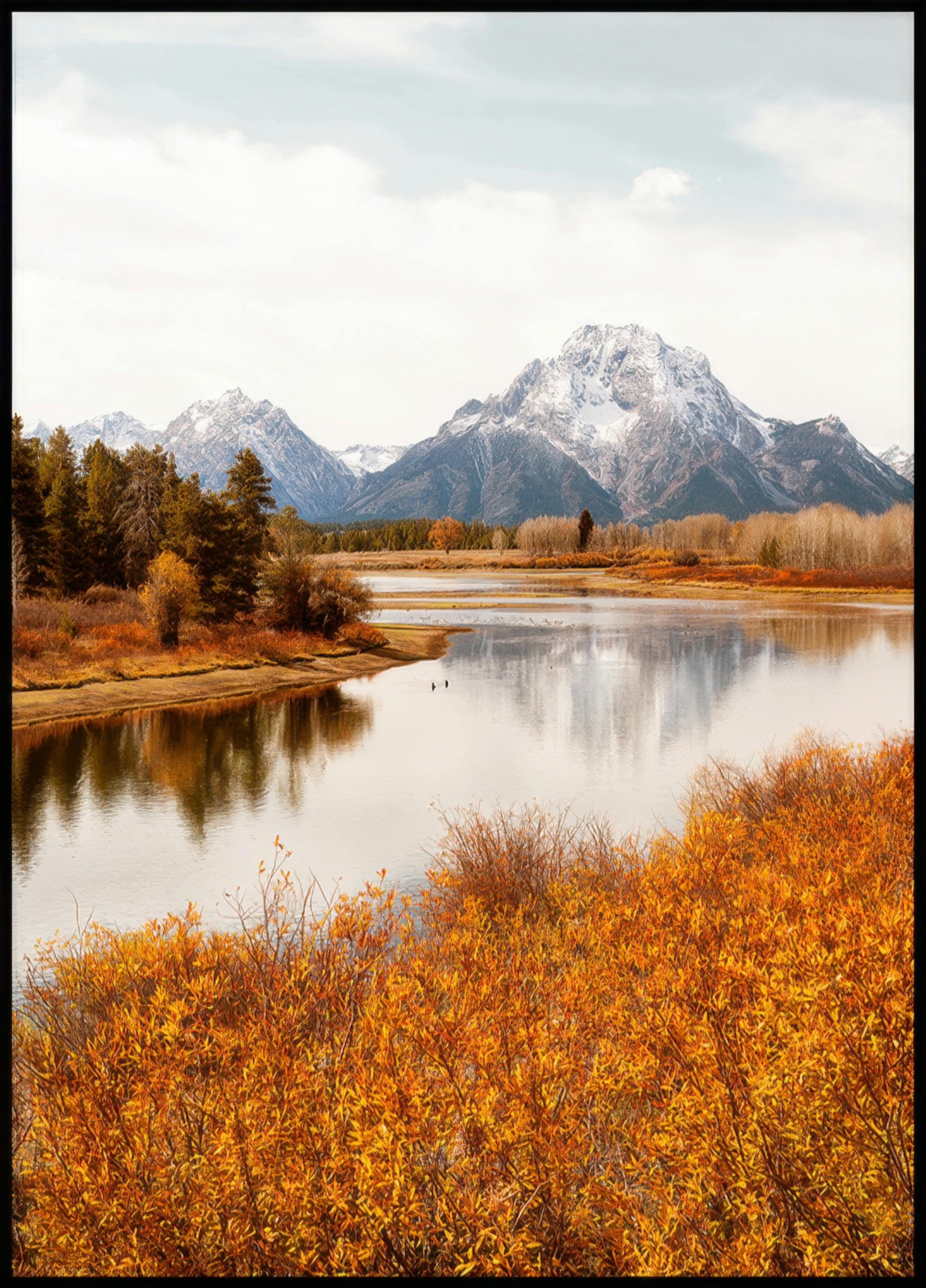 Affiche Oxbow Bend 0