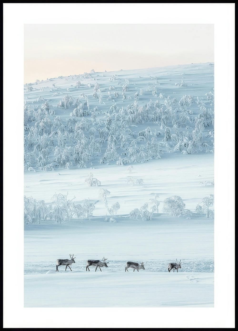 Snowscape Reindeers Poster 0