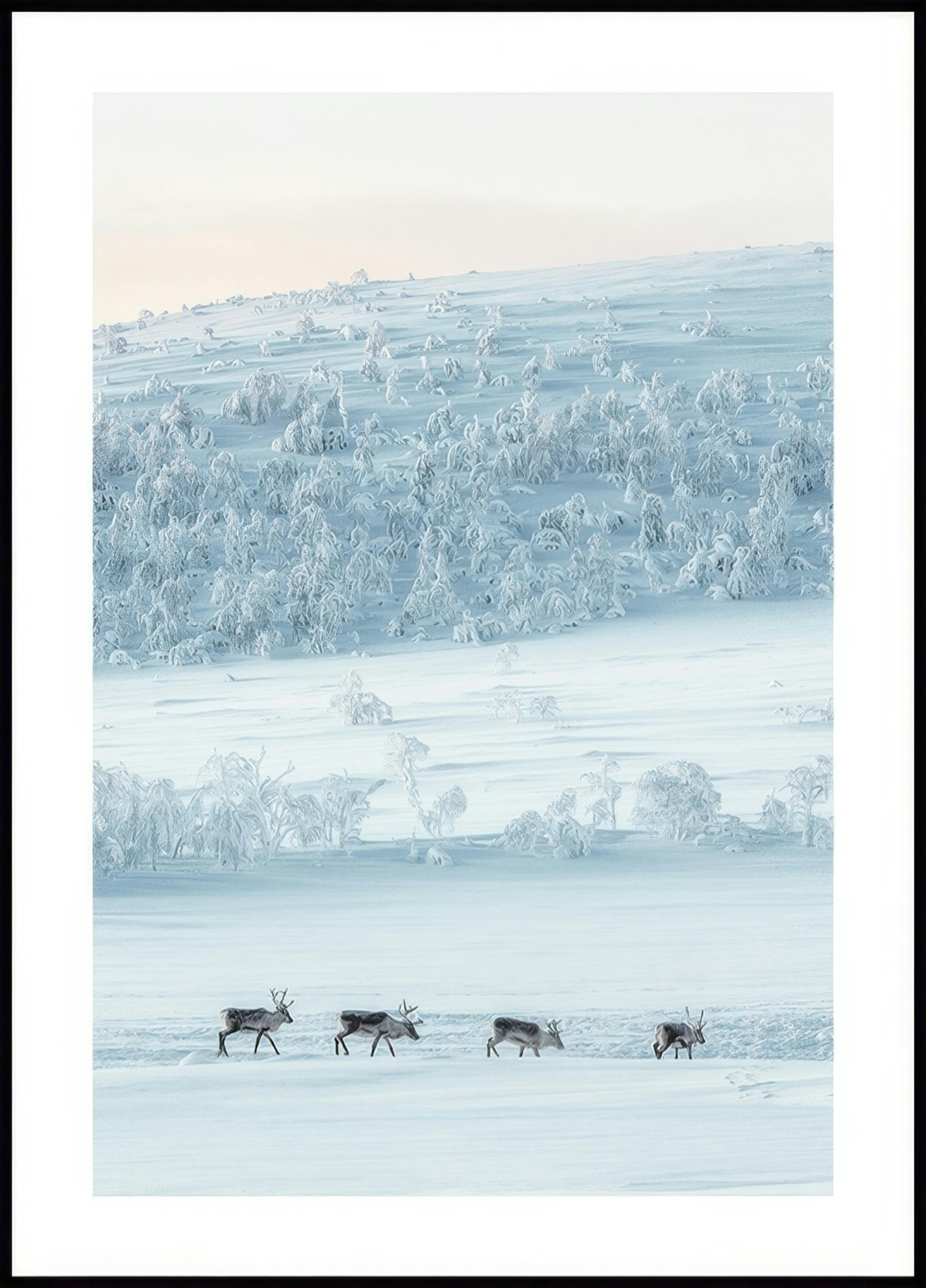 Plakat z reniferami w śnieżnej scenerii 0