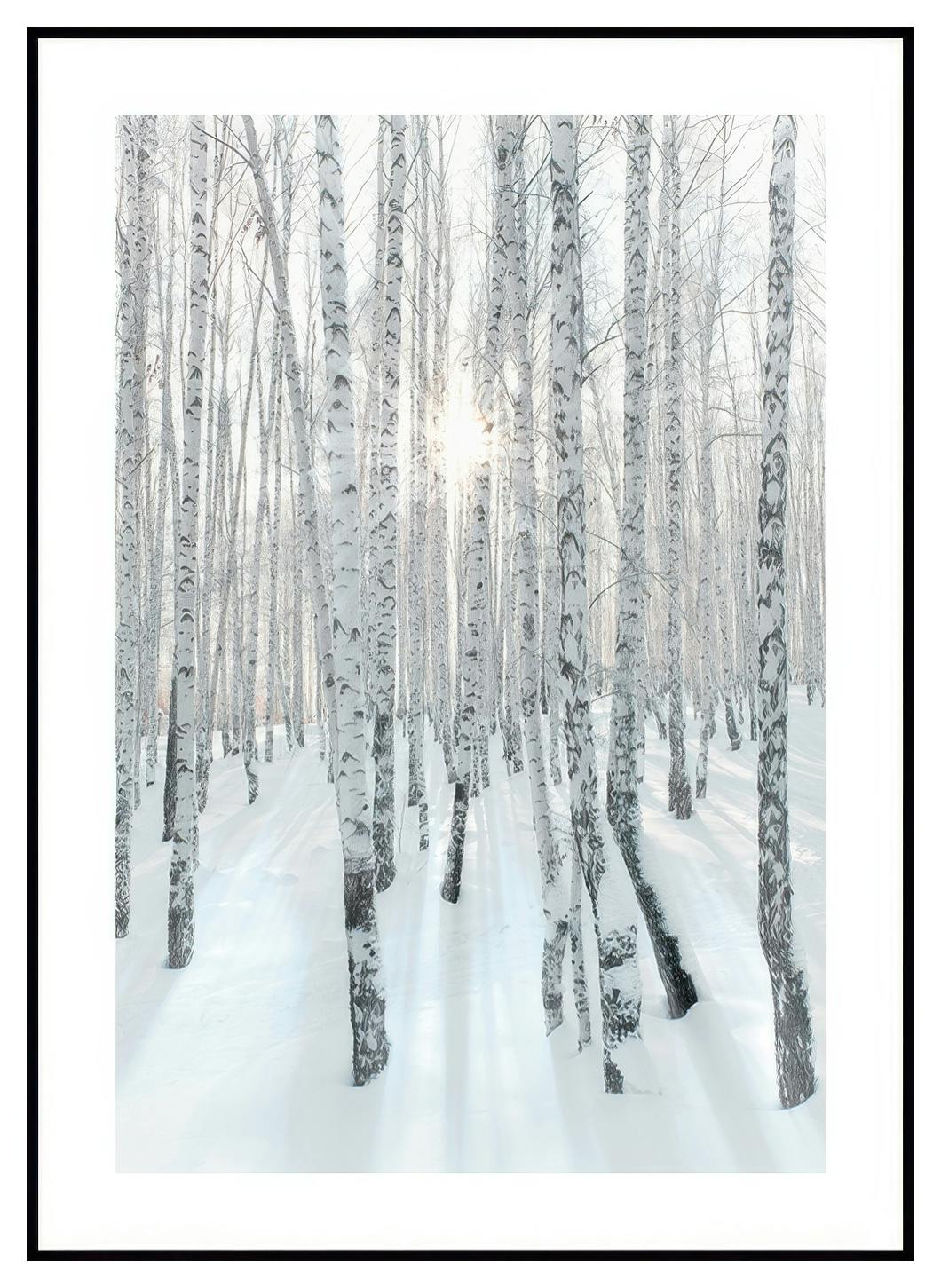 Besneeuwde Berkenbos Poster (13x18 cm) - Poster Store