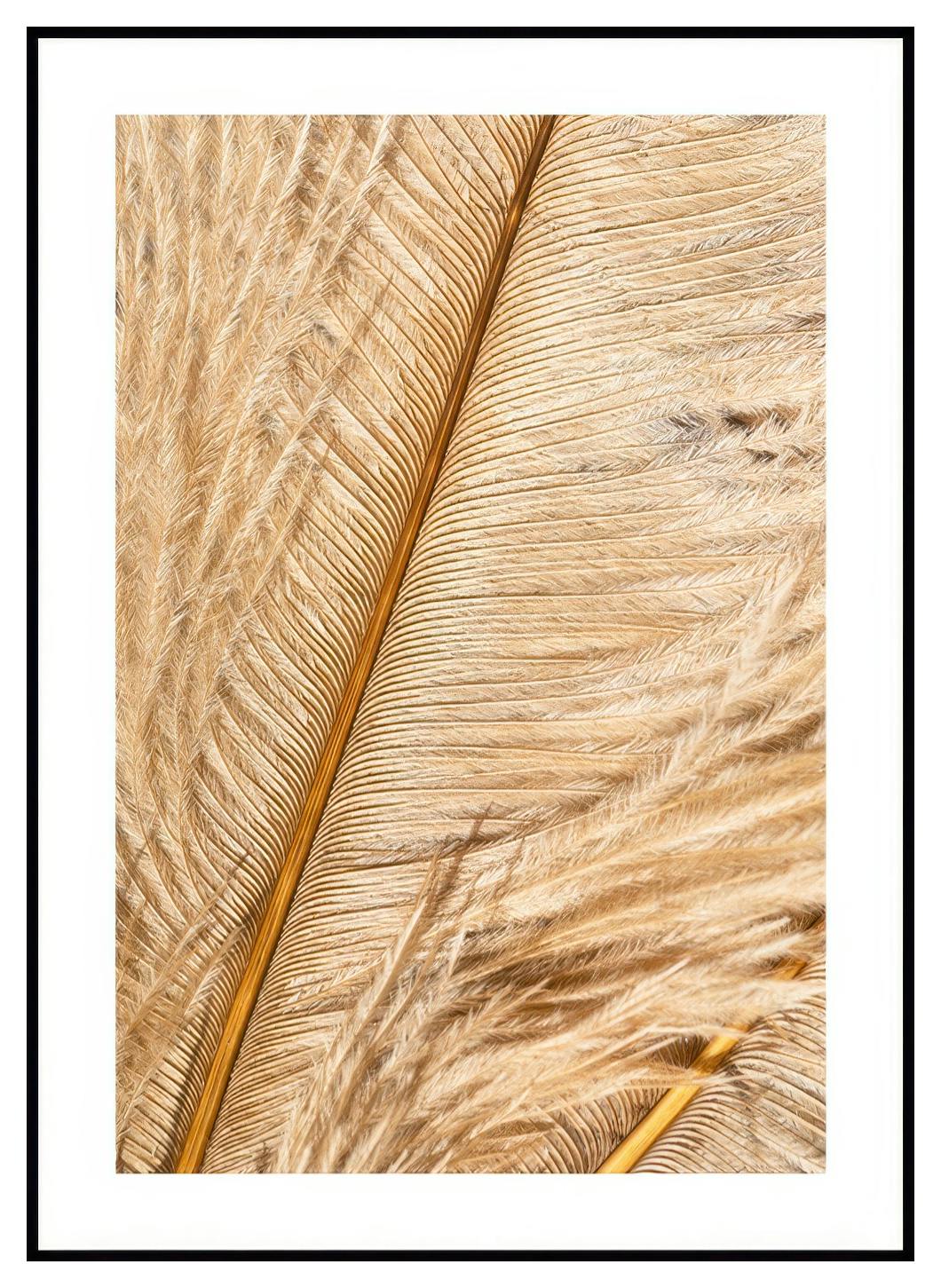 Złote Pióro Plakat (50x70 cm) - Poster Store