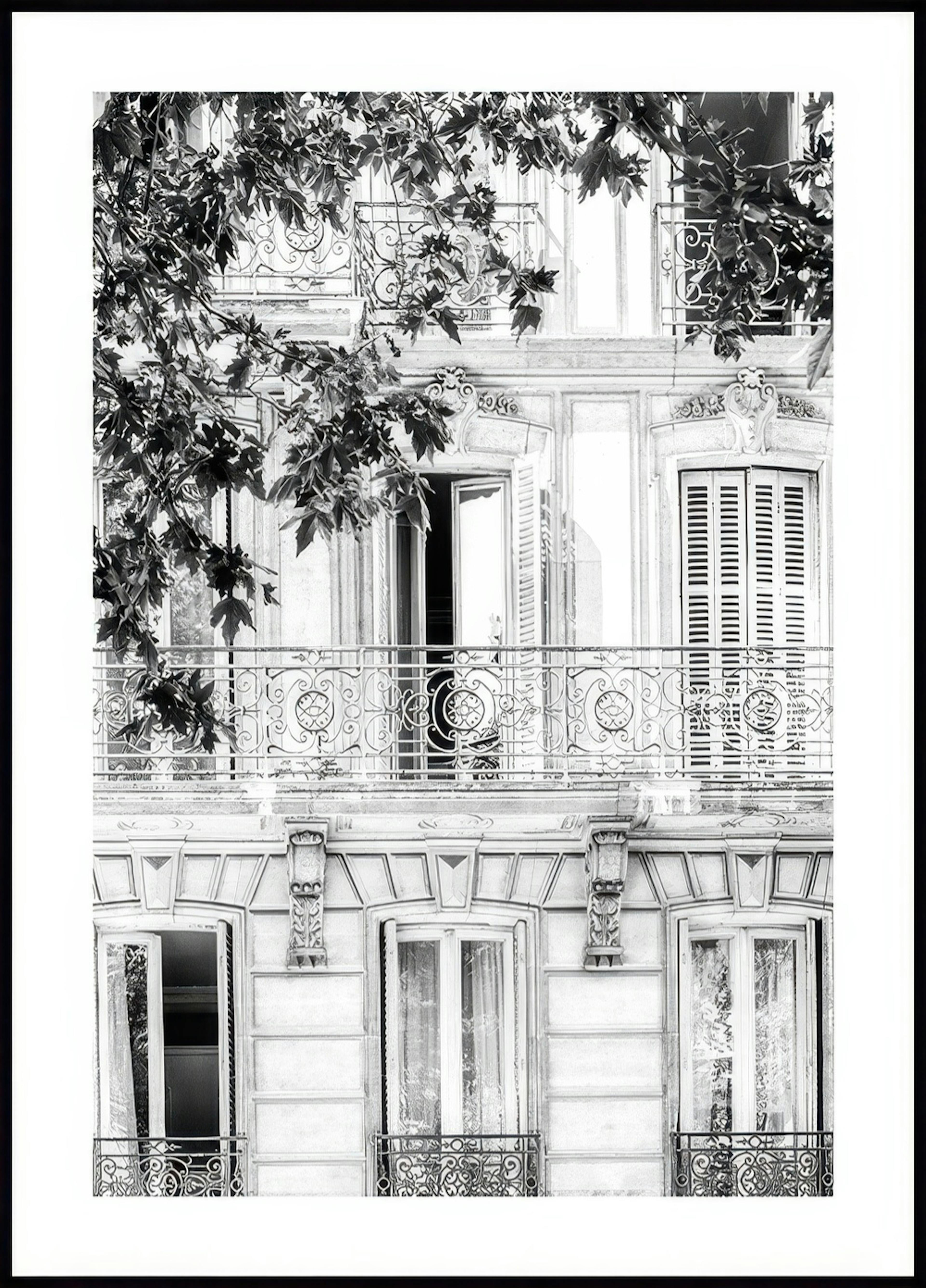 Monochrome Facade Poster 0