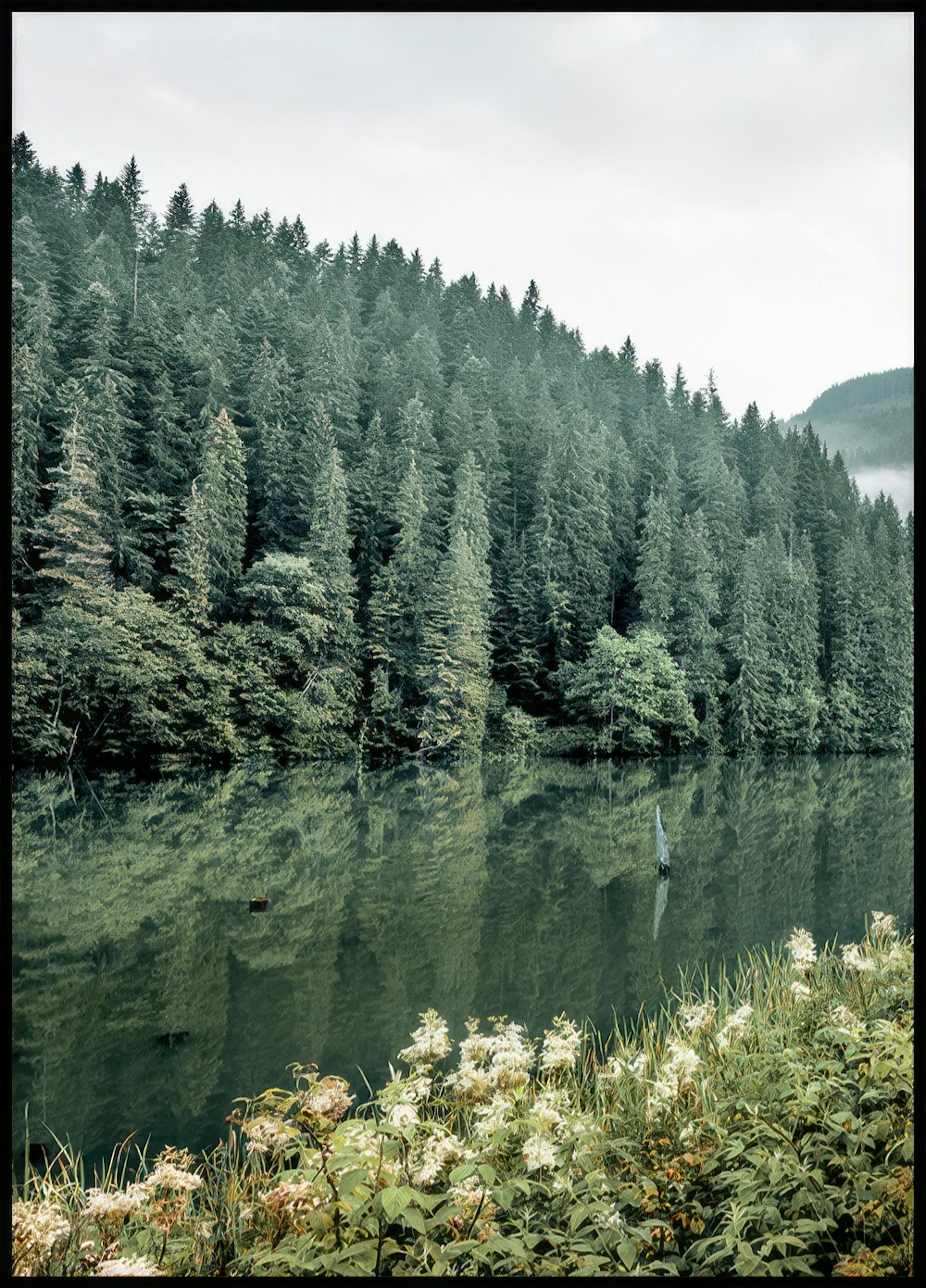 Boslandschap Postersets thumbnail