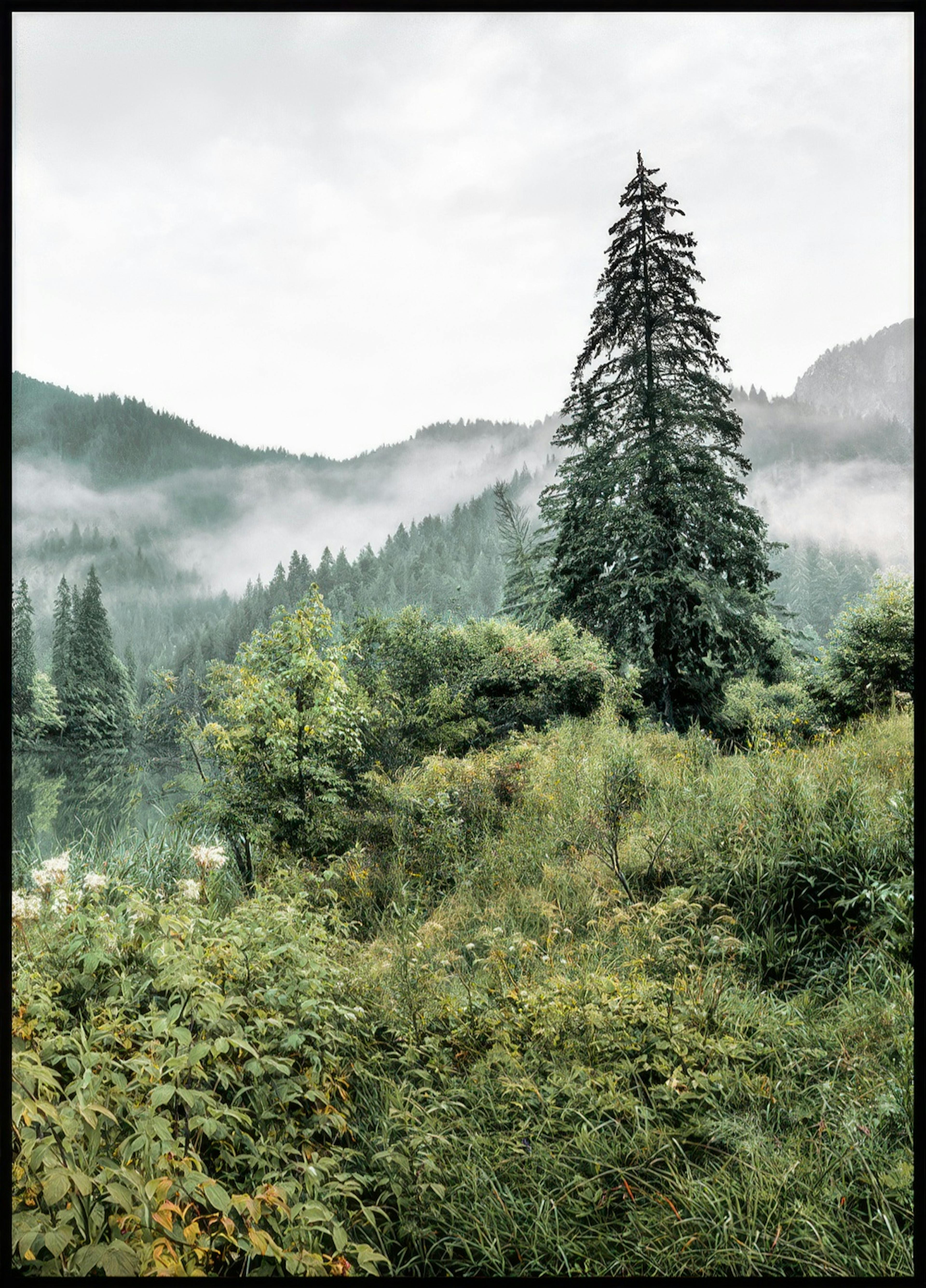 Waldlandschaft No2 Poster 0