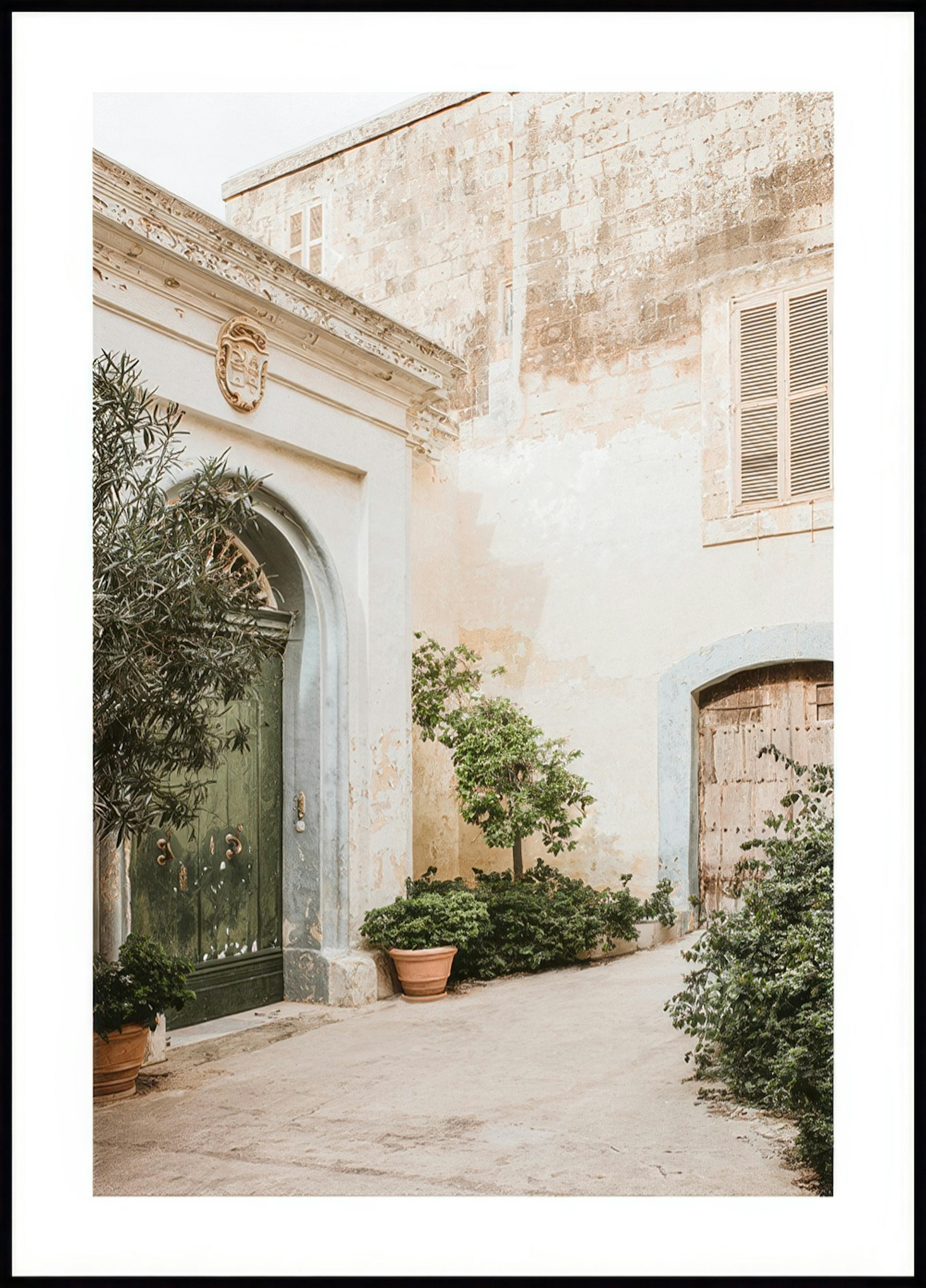 Piante in giardino Poster 0