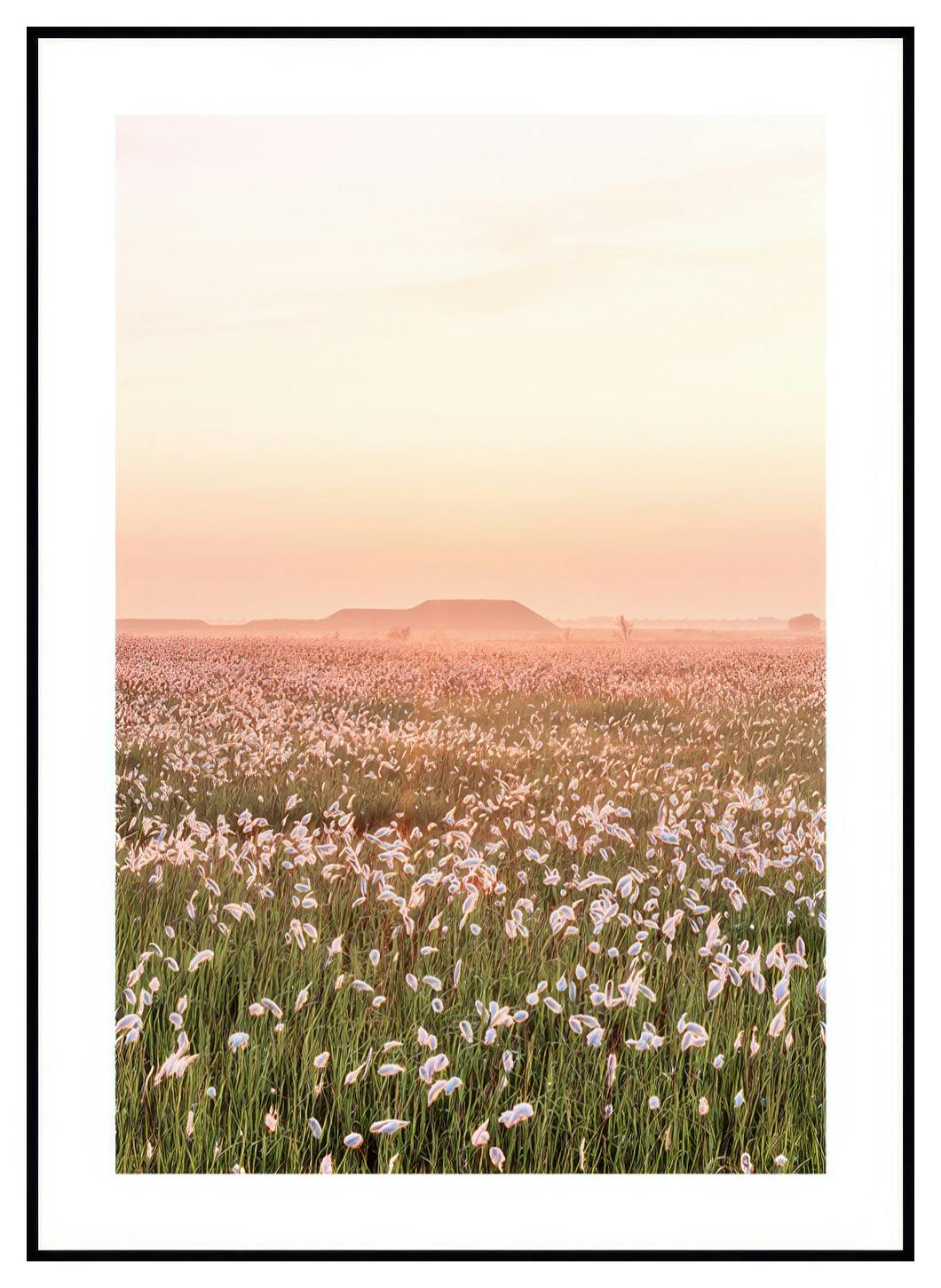 Bloemenveld bij zonsondergang poster (30x40 cm) - Poster Store