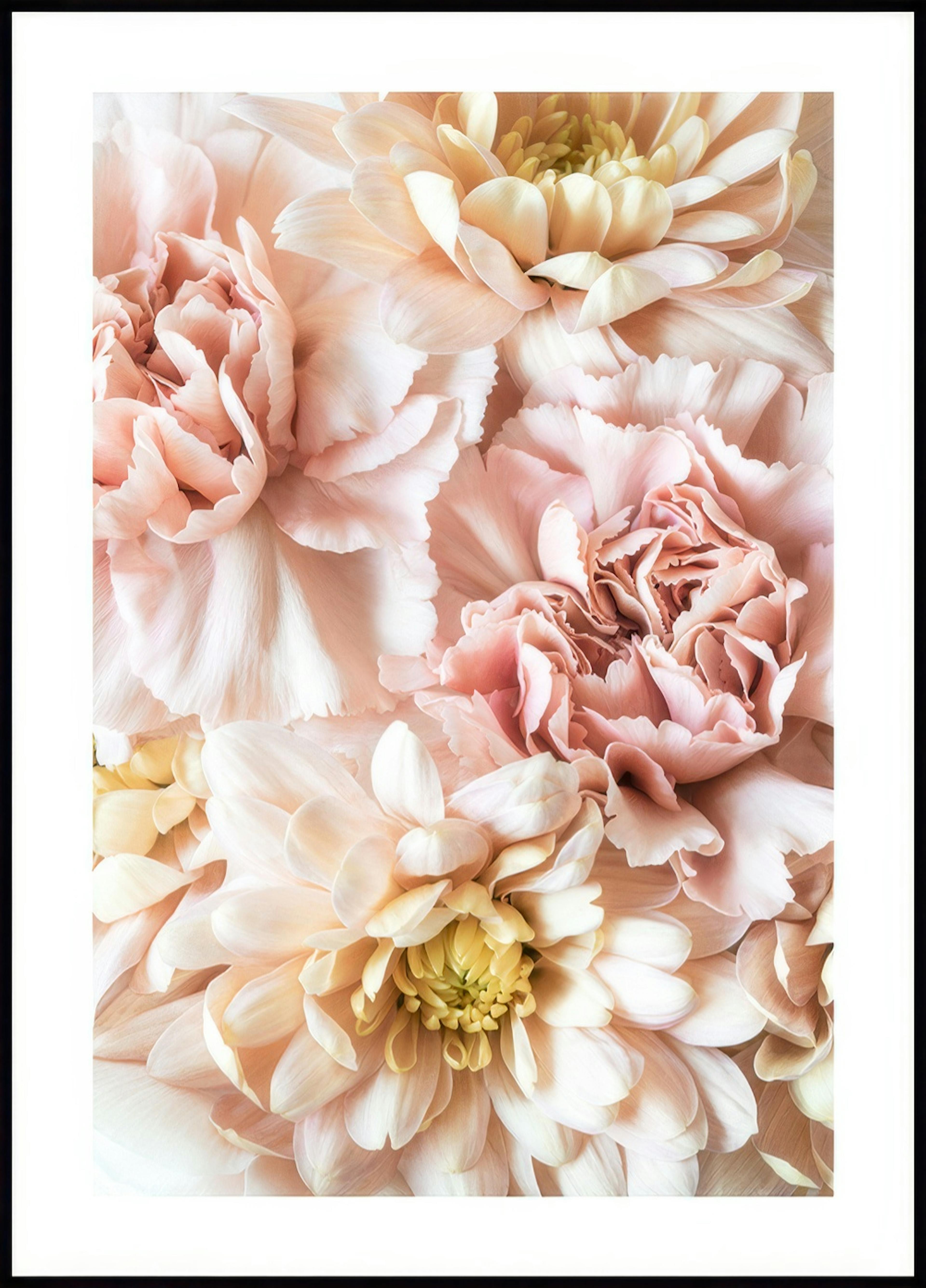 Roze bloesem poster 0