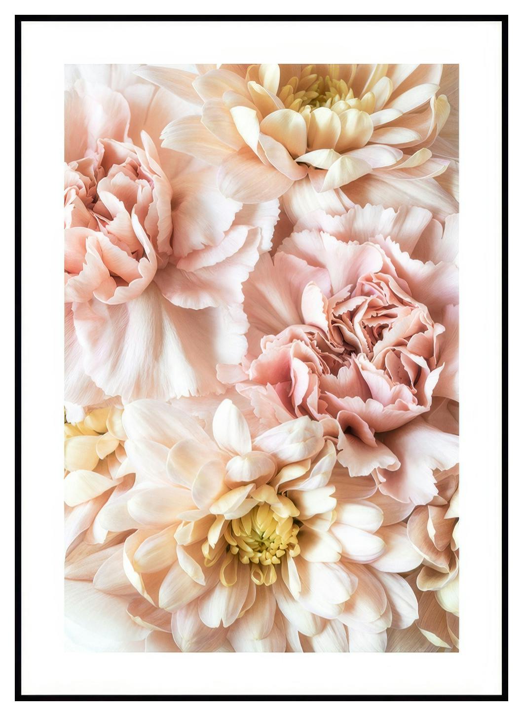 Pink Blossom plakat (30x40 cm) - Poster Store