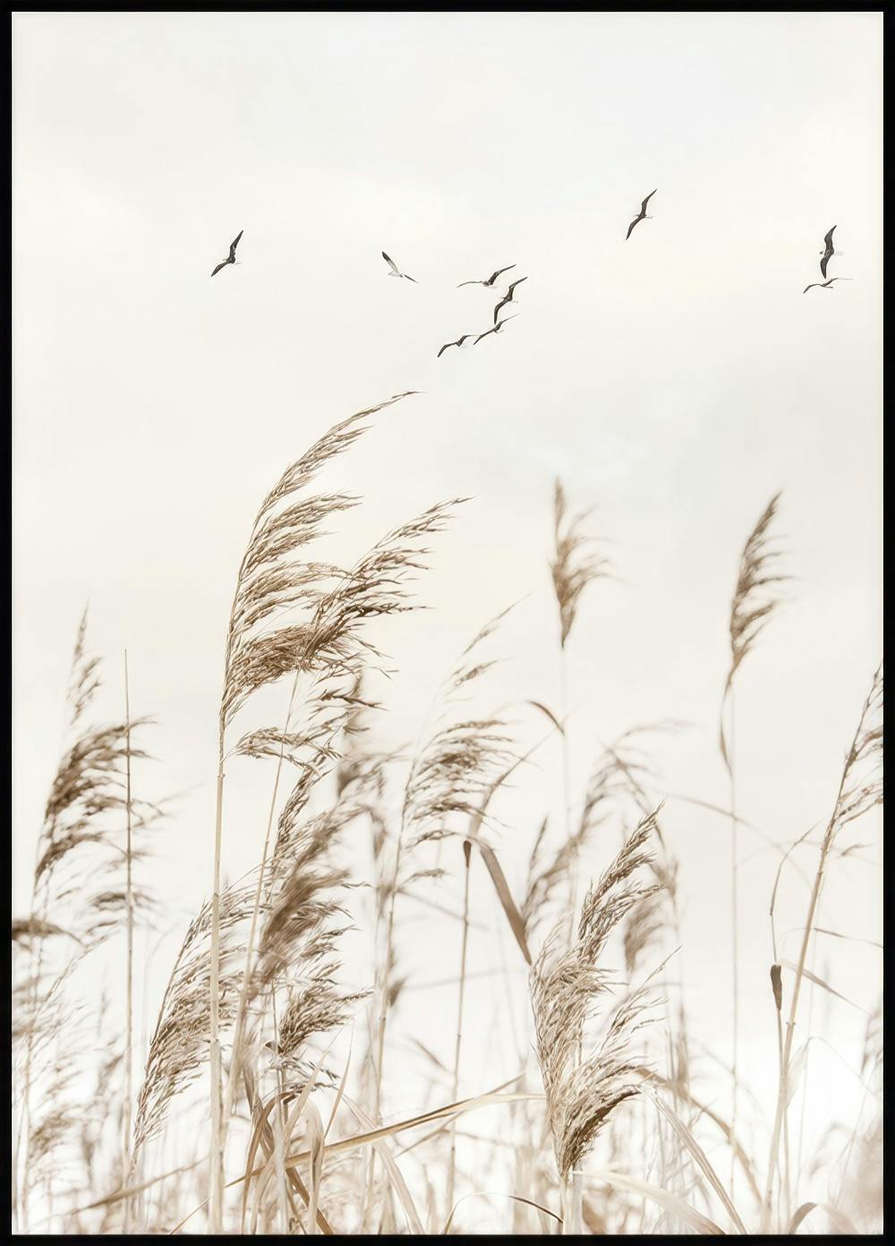Vogels over het riet poster 0