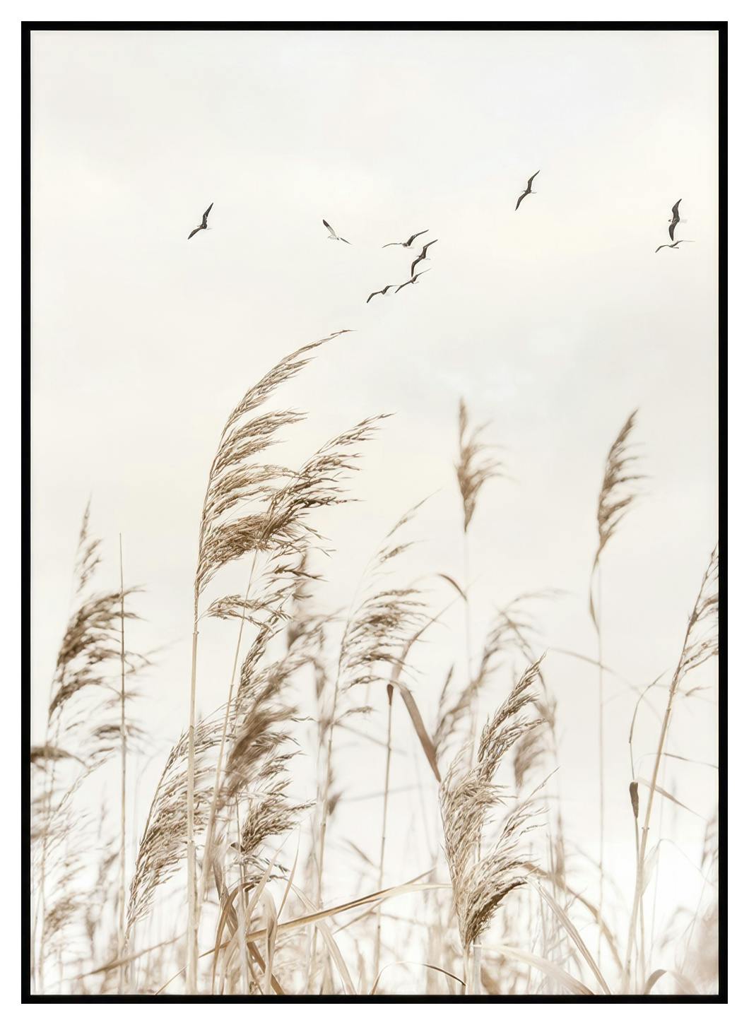 Vogels over het riet poster (30x40 cm) - Poster Store
