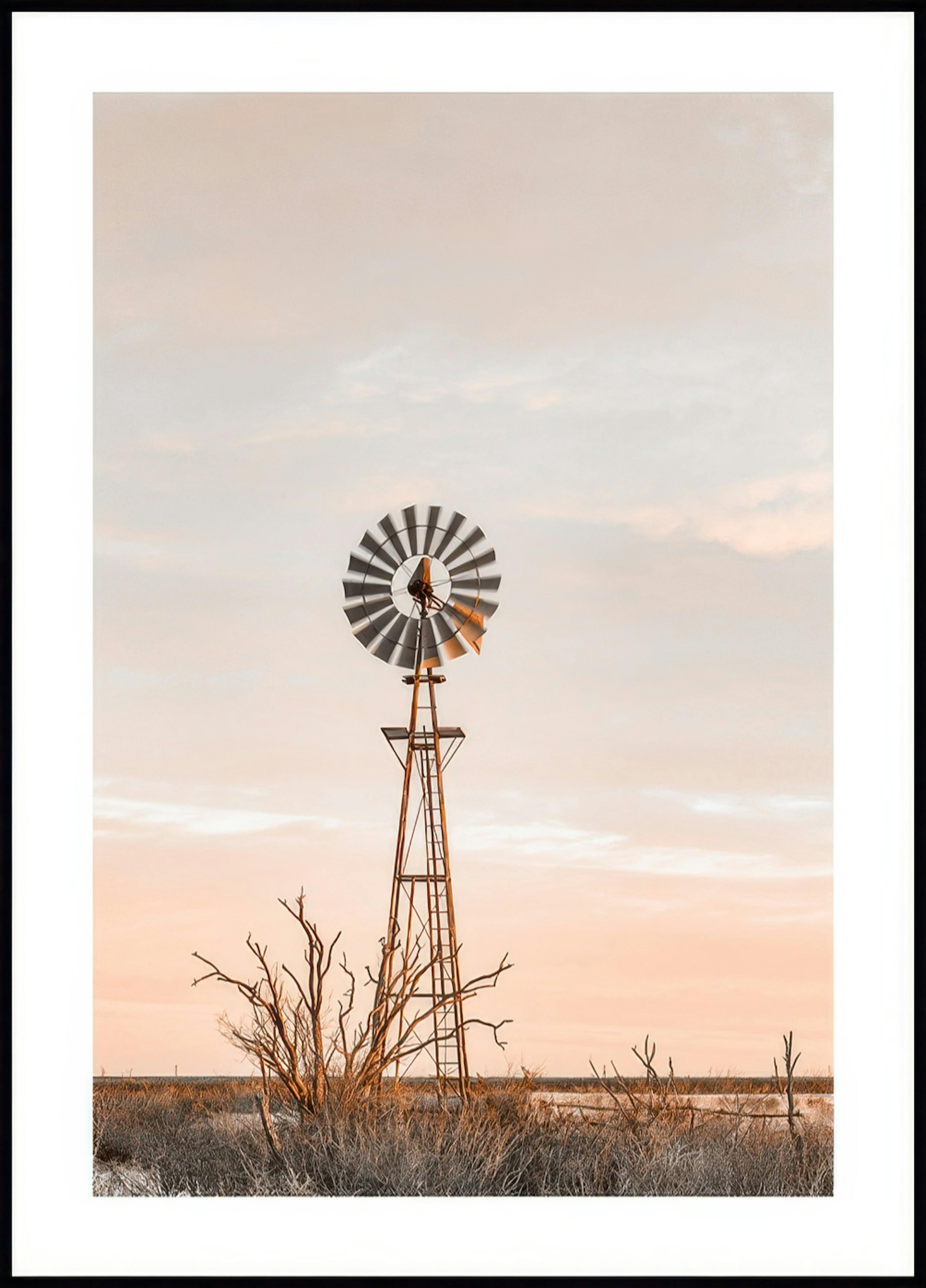 Wiatrak w Teksasie Plakat 0