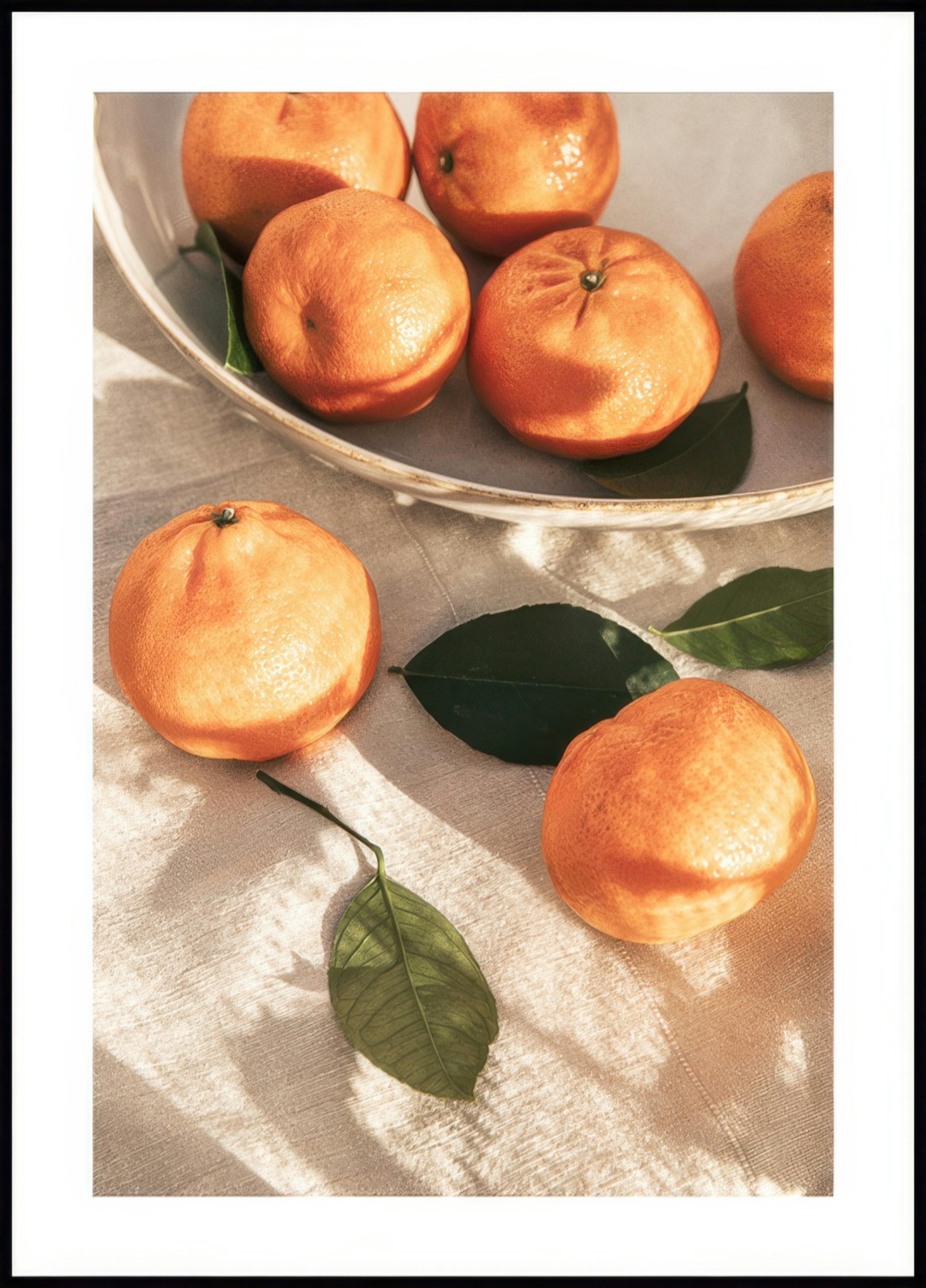 Oranges au soleil Affiche 0