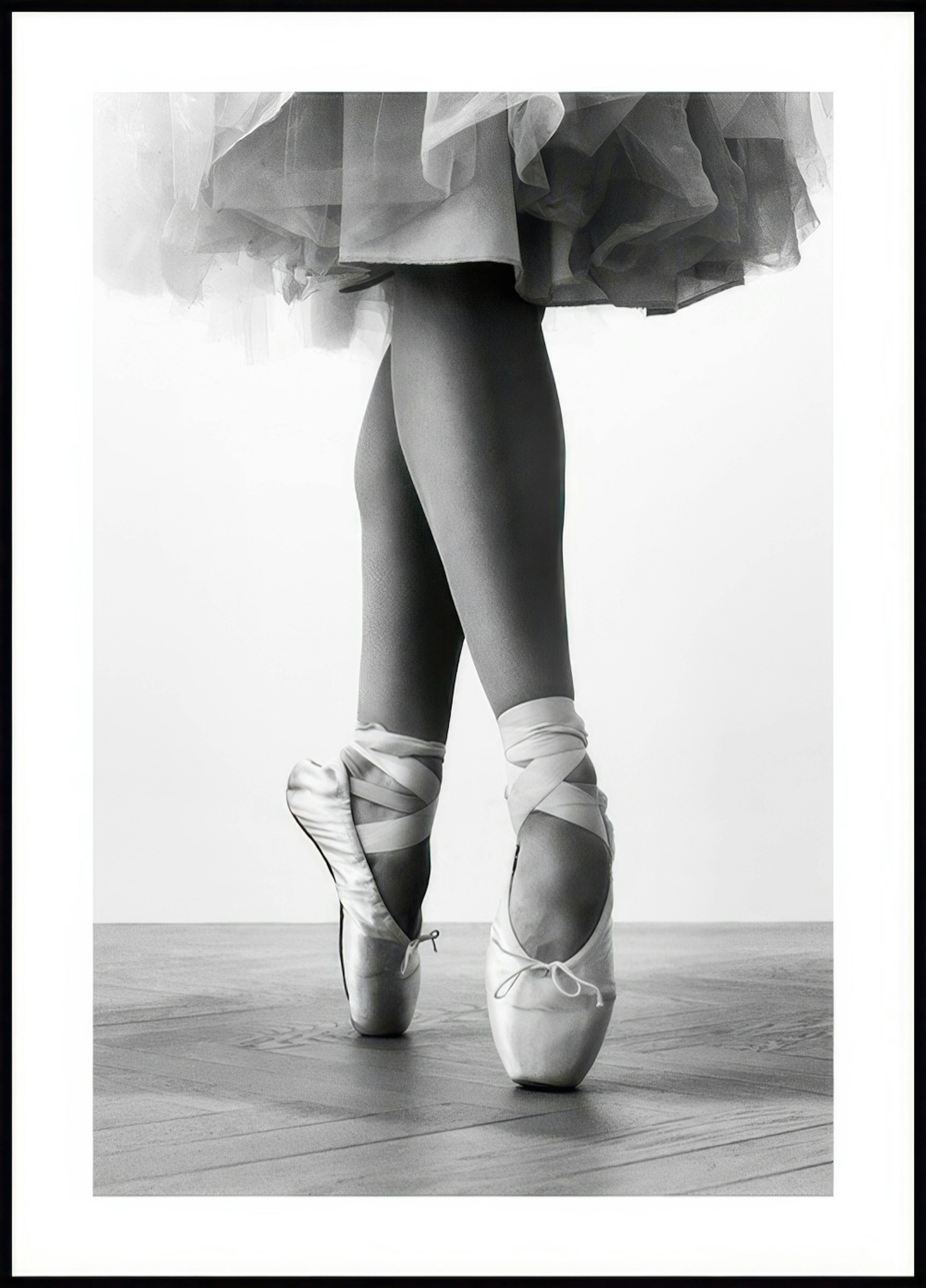 Dancing En Pointe plakat 0