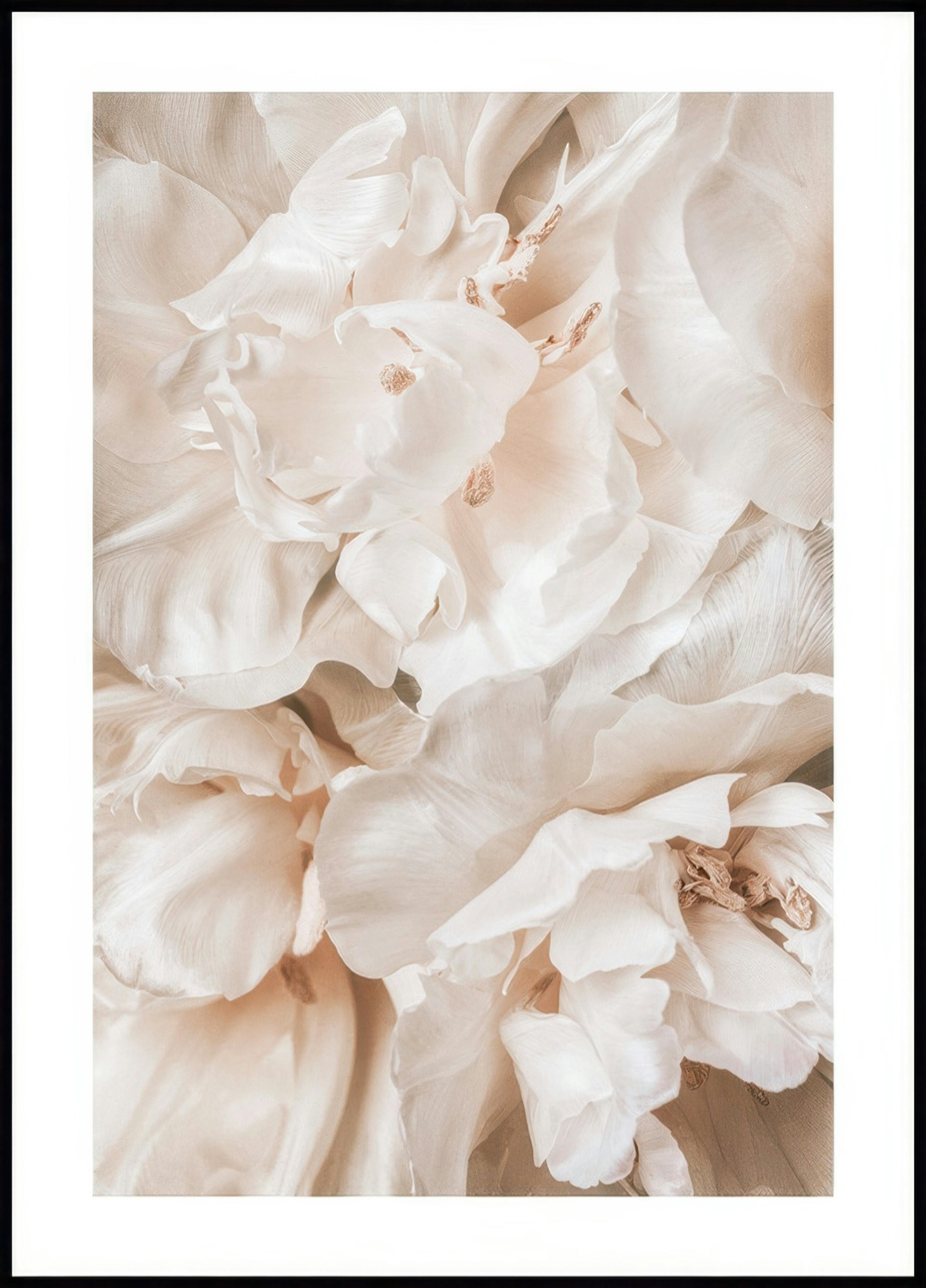 Fleurs Apaisantes Affiche 0