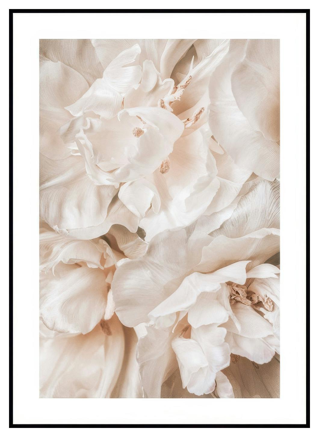 Zachte Bloesem Poster (50x70 cm) - Poster Store