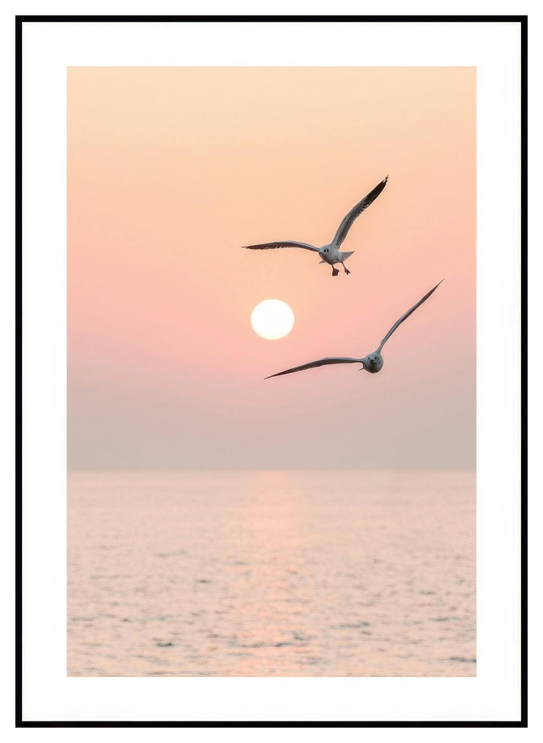 Flygande Par Poster (30x40 cm) - Poster Store