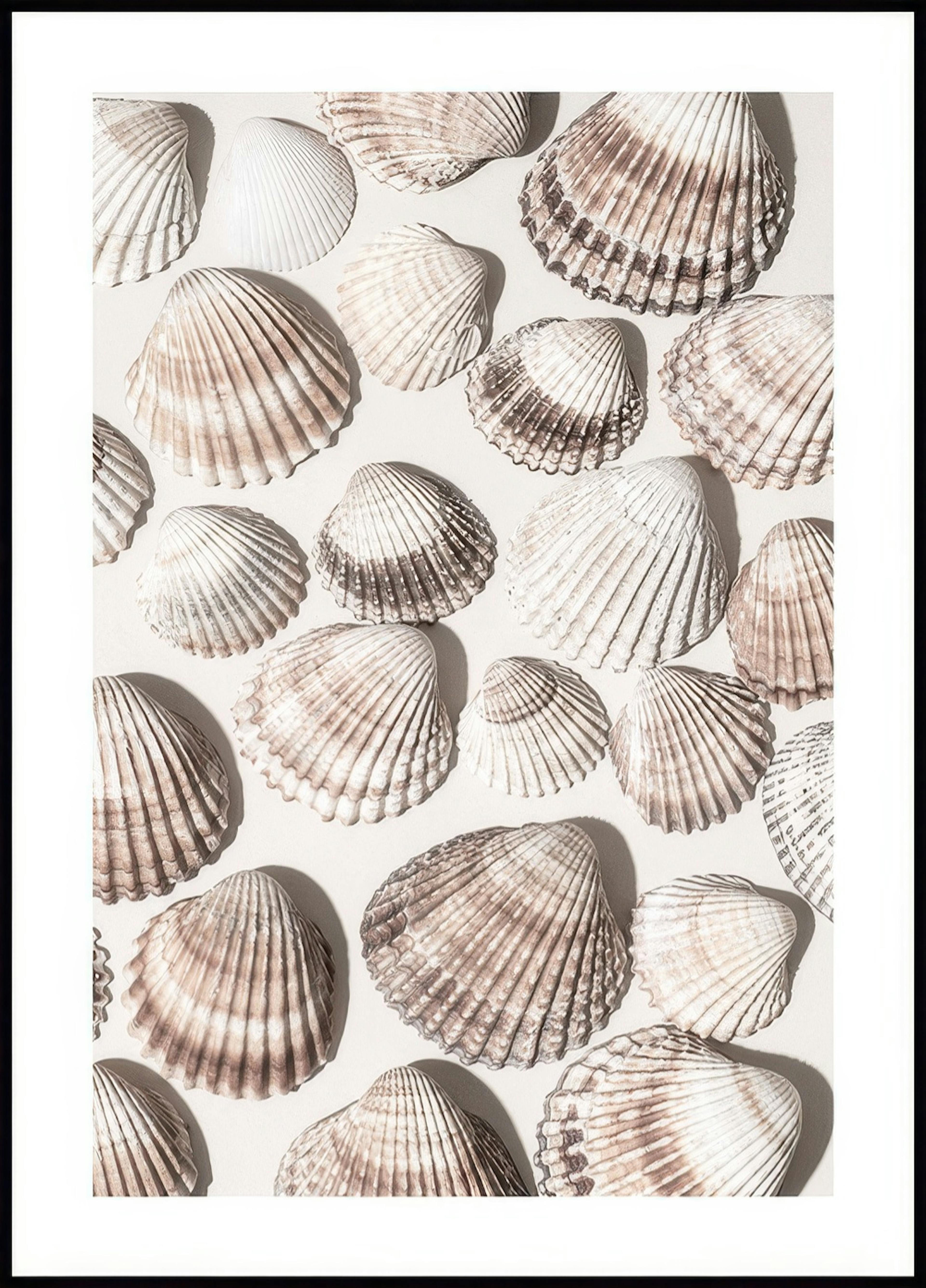 Poster zeeschat 0