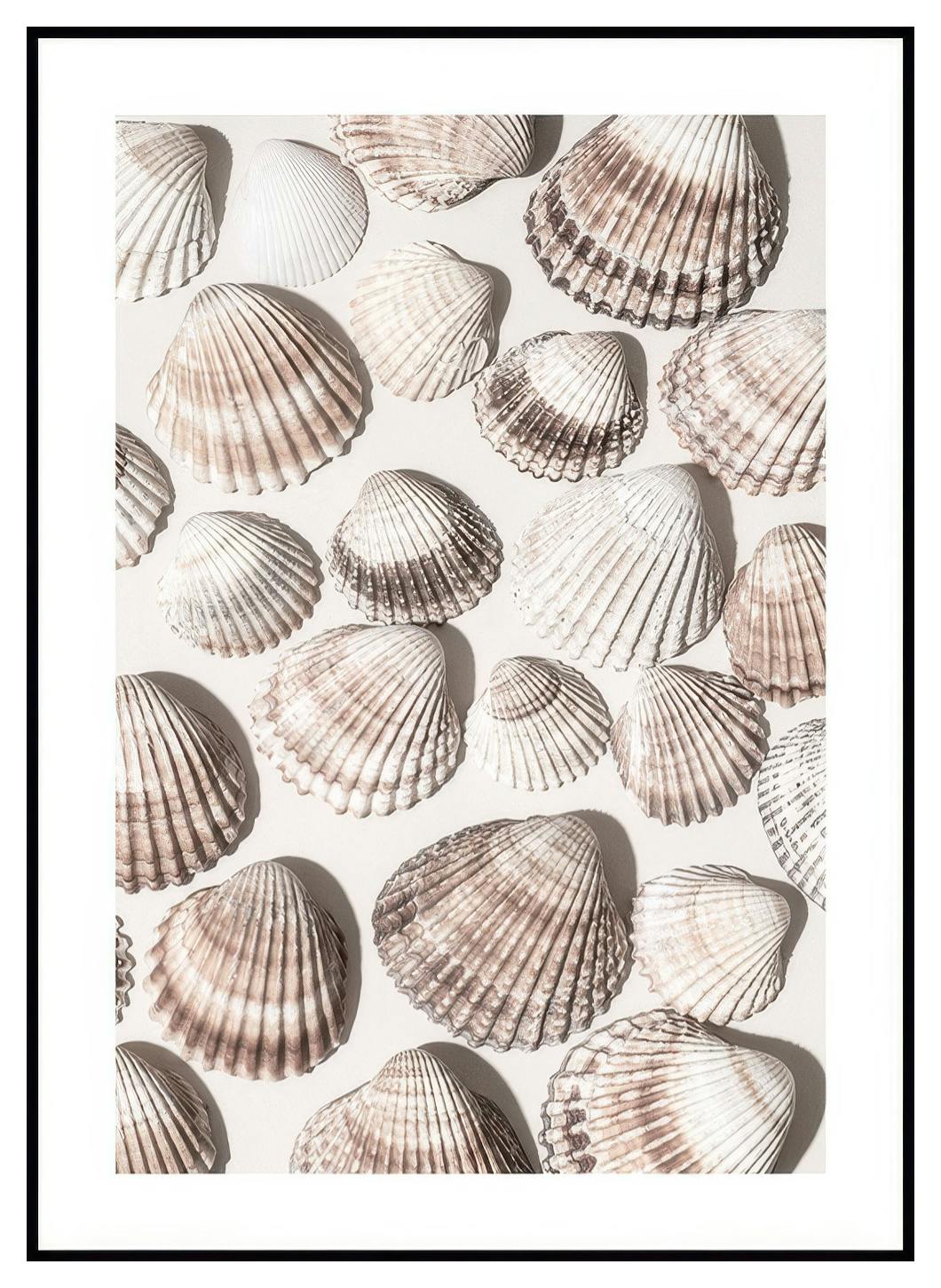 Poster zeeschat (50x70 cm) - Poster Store