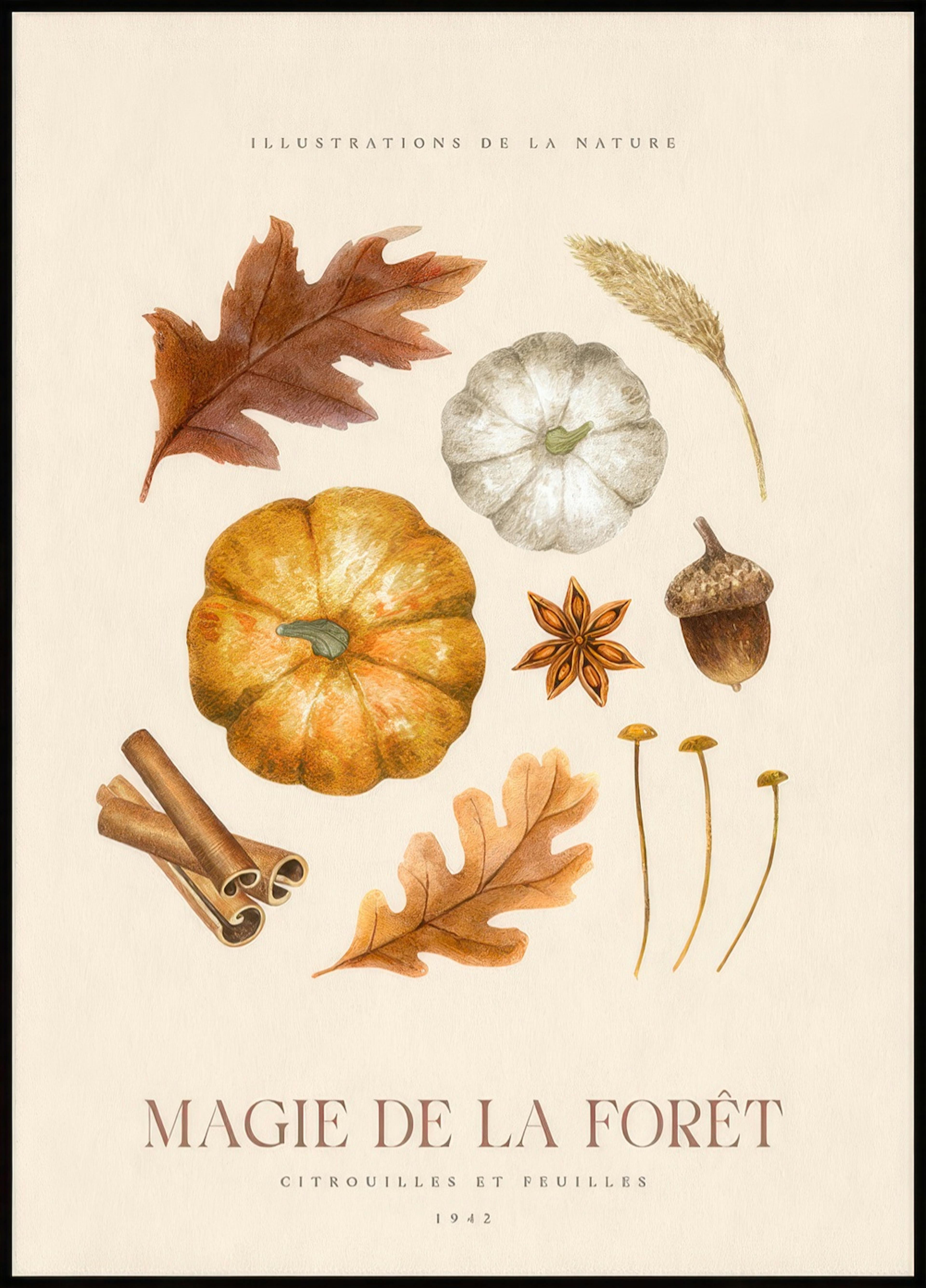 Magia Lasu Nr 2 Plakat 0