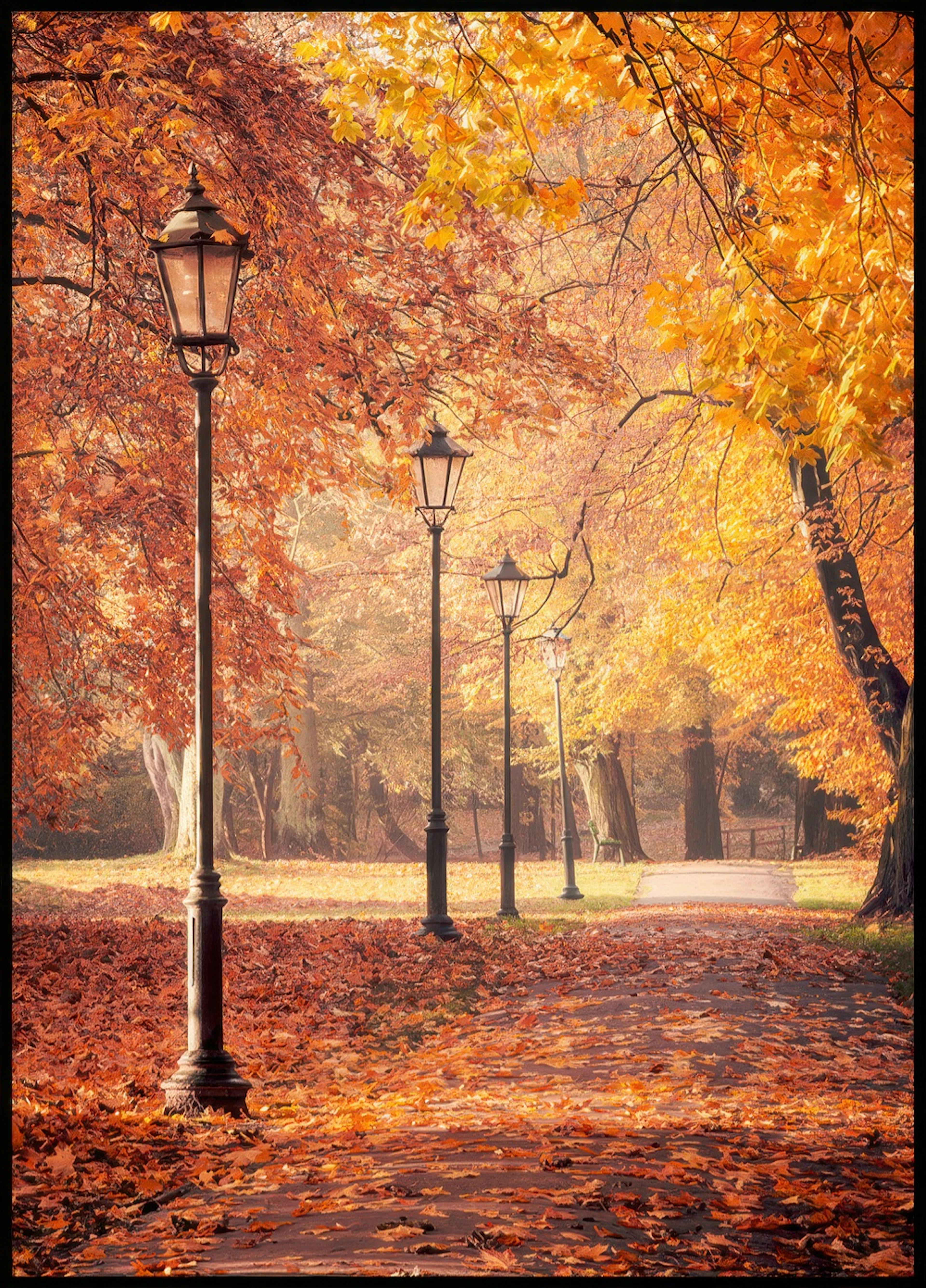 Autumn Walk Poster 0