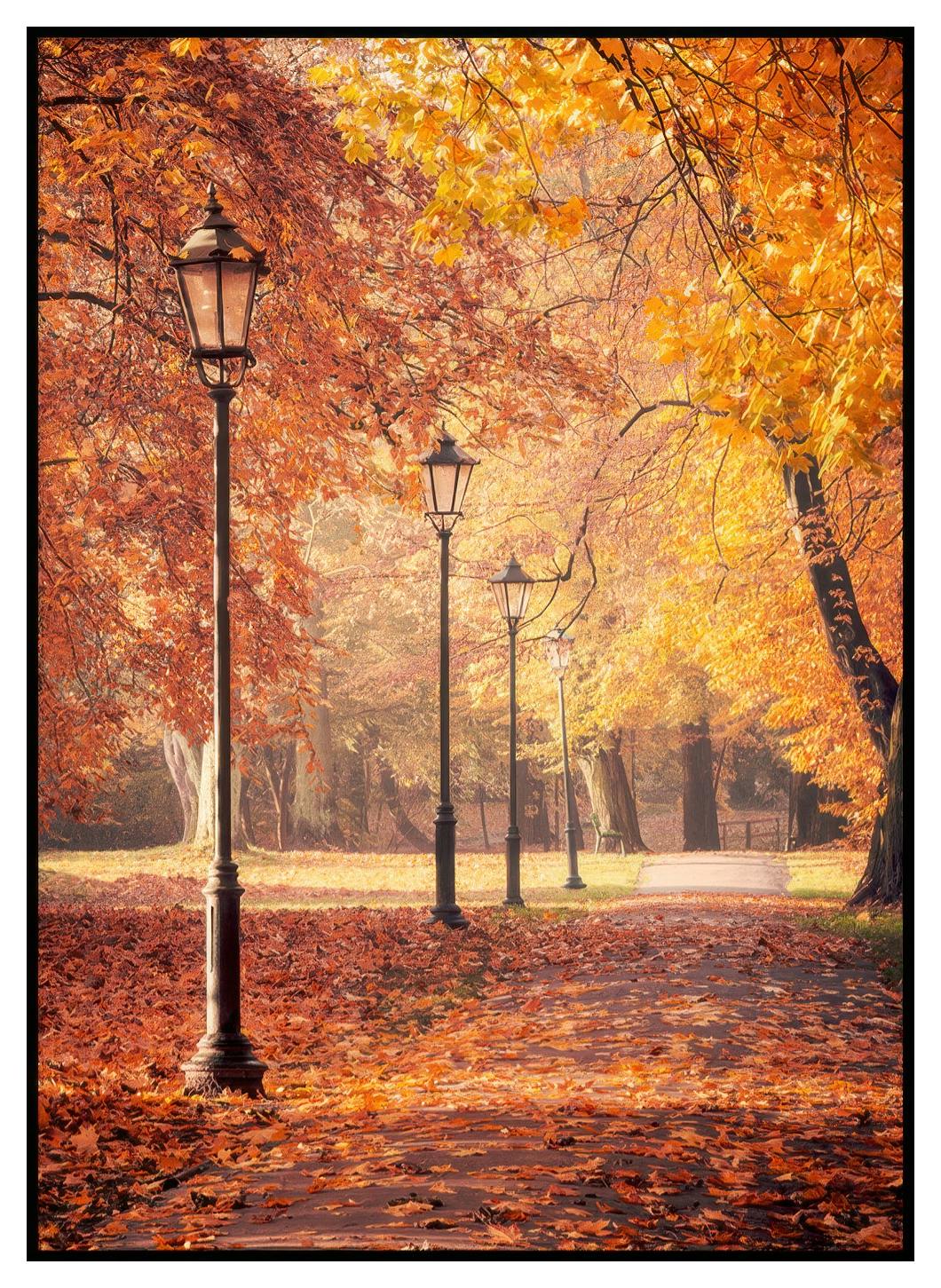 Herfstwandeling Poster (30x40 cm) - Poster Store