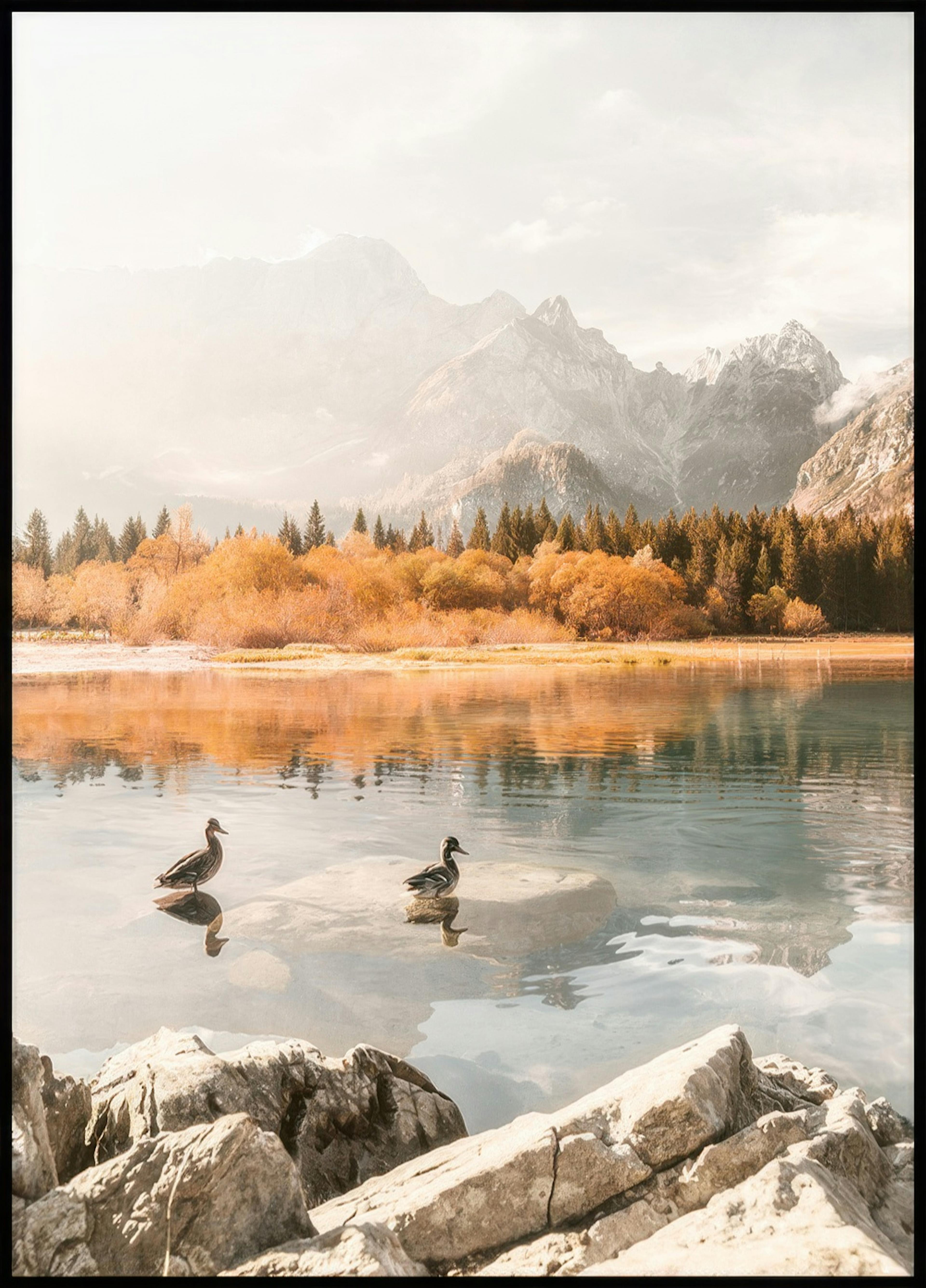 Morning Swim Poster 0