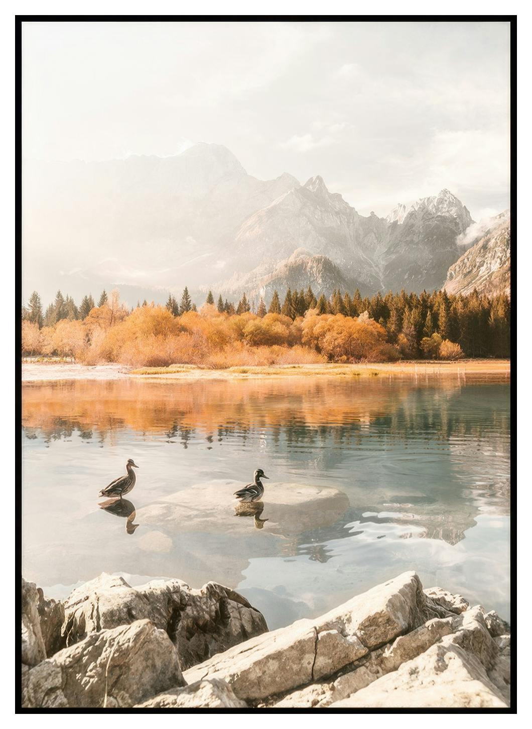 Morgensvøm Plakat (50x70 cm) - Poster Store