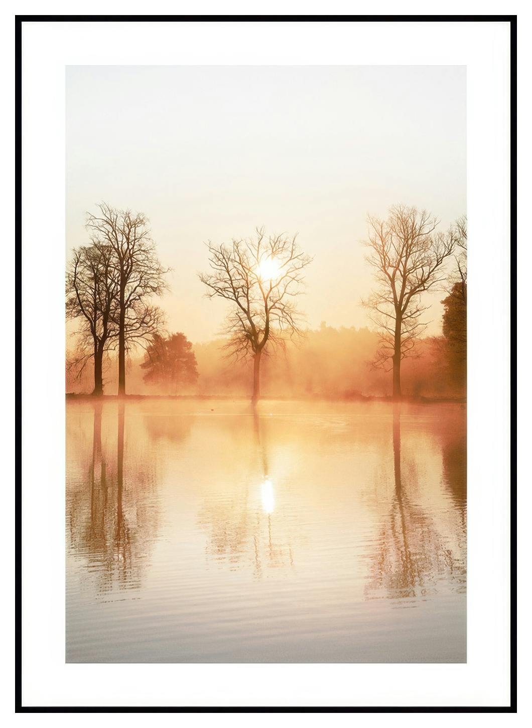 Disig Refleksjon Plakat (50x70 cm) - Poster Store