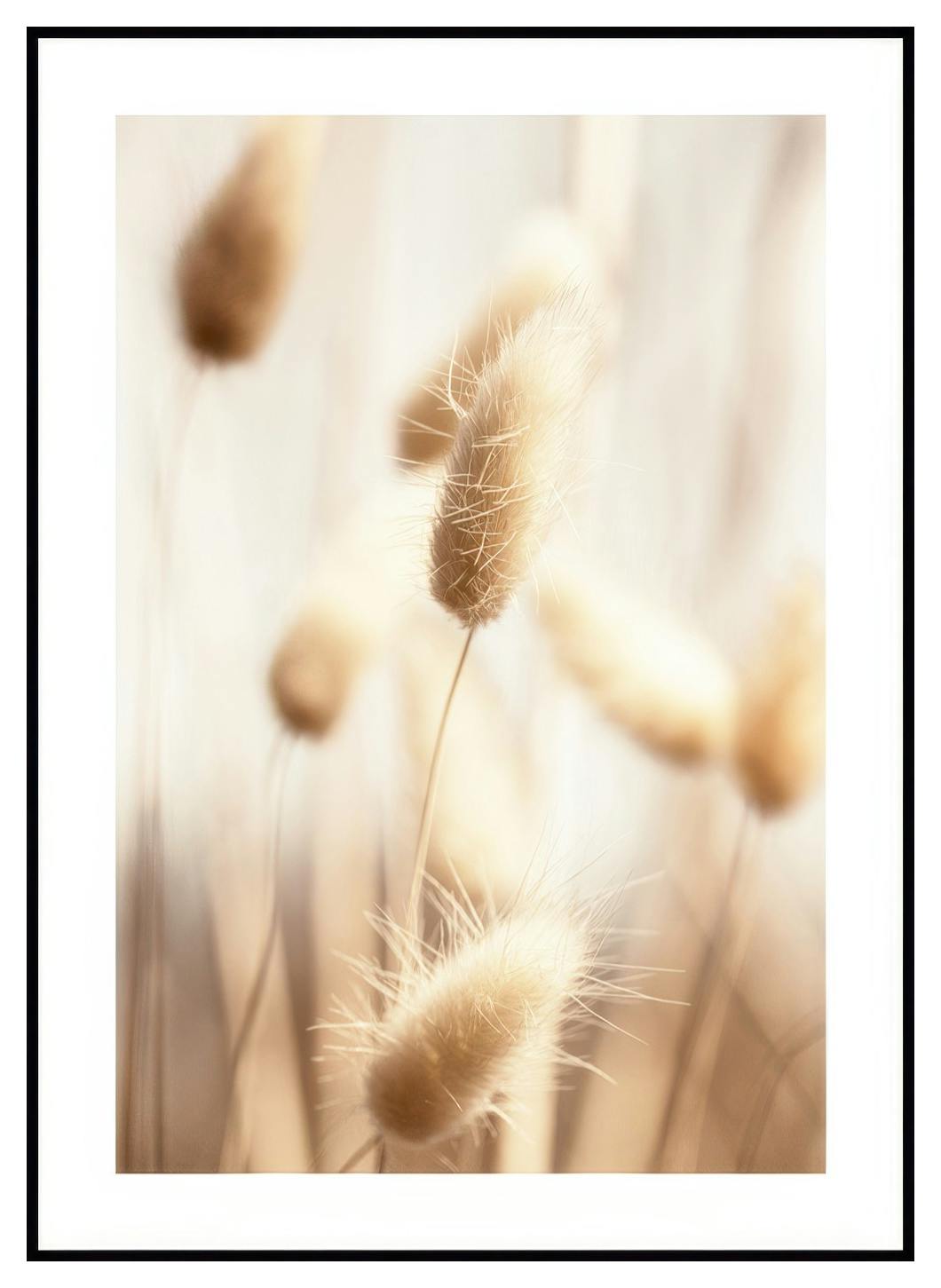 Beżowa Trzcina Plakat (21x30 cm) - Poster Store