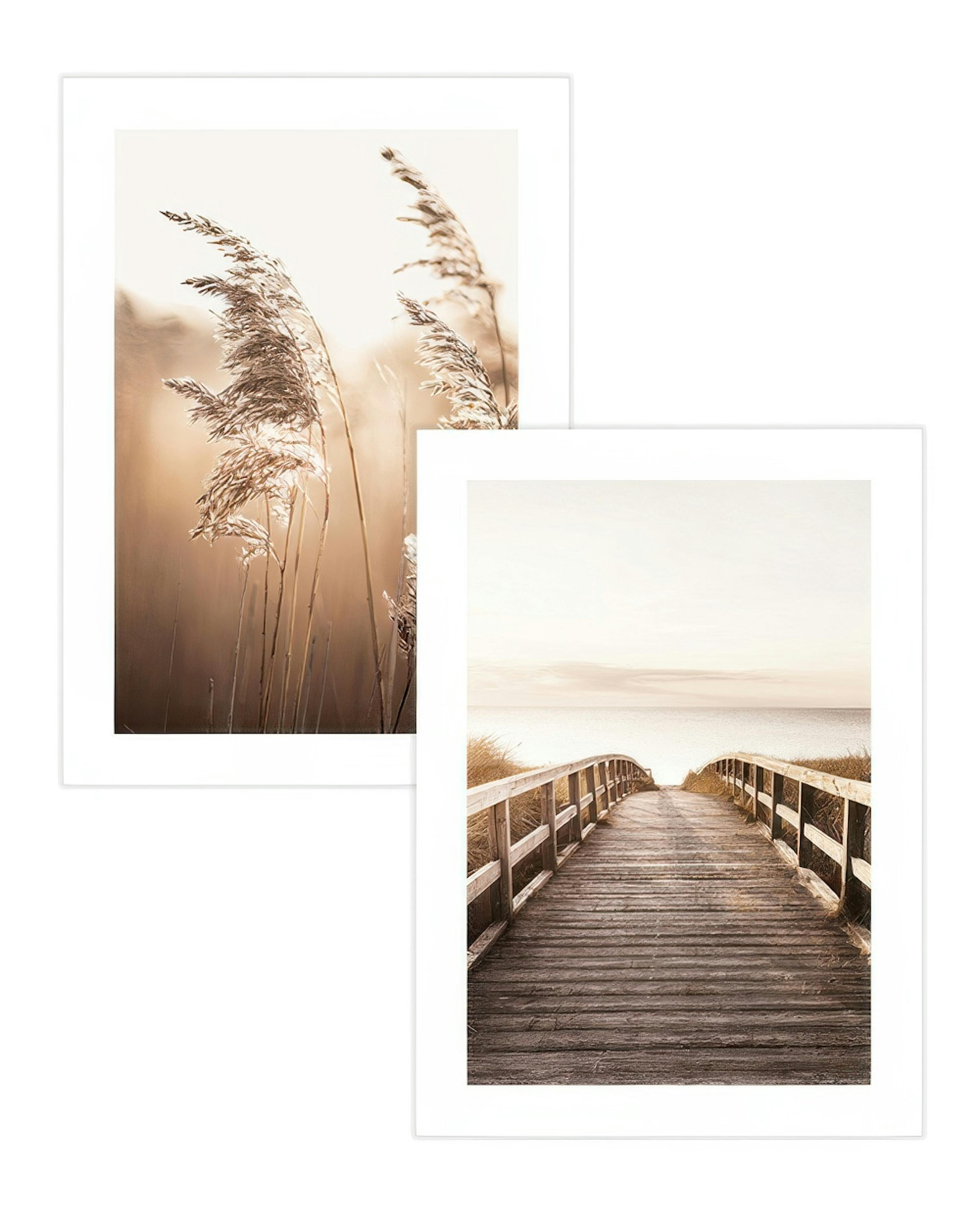 Soft Brown Paquetes de pósters thumbnail