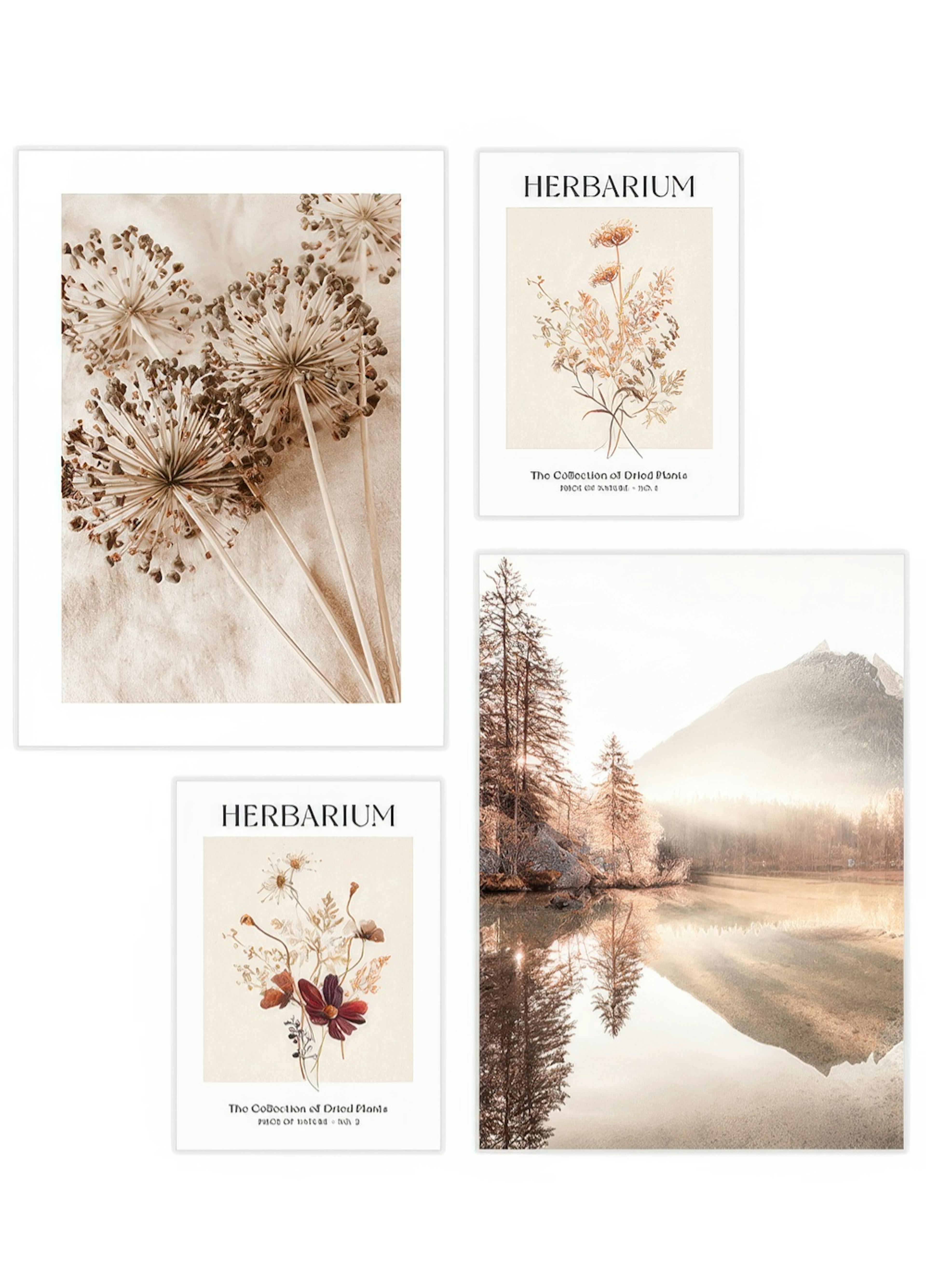 Herbiers Lot de posters thumbnail