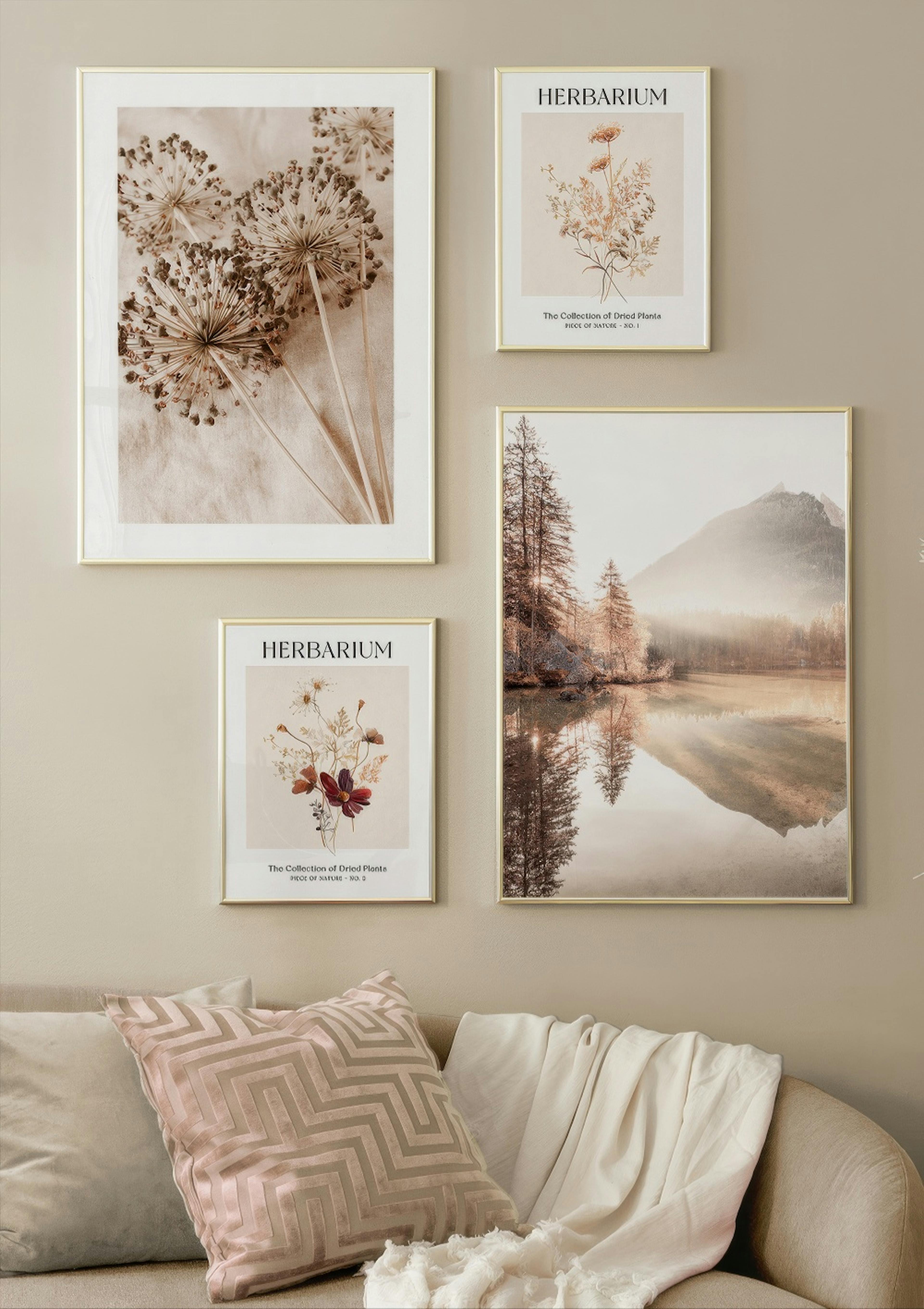Herbiers Lot de posters thumbnail
