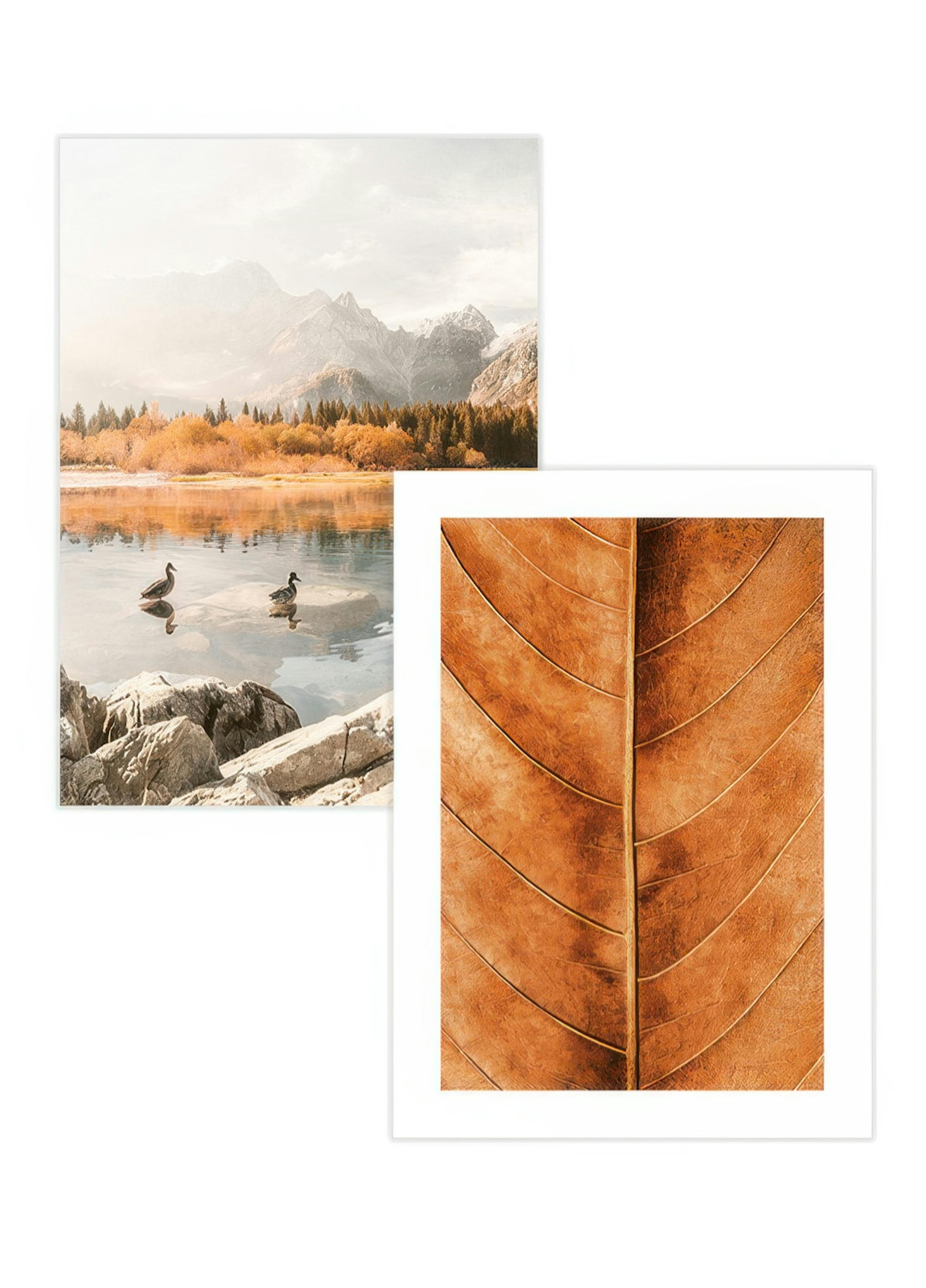 Autumn Poster pack thumbnail