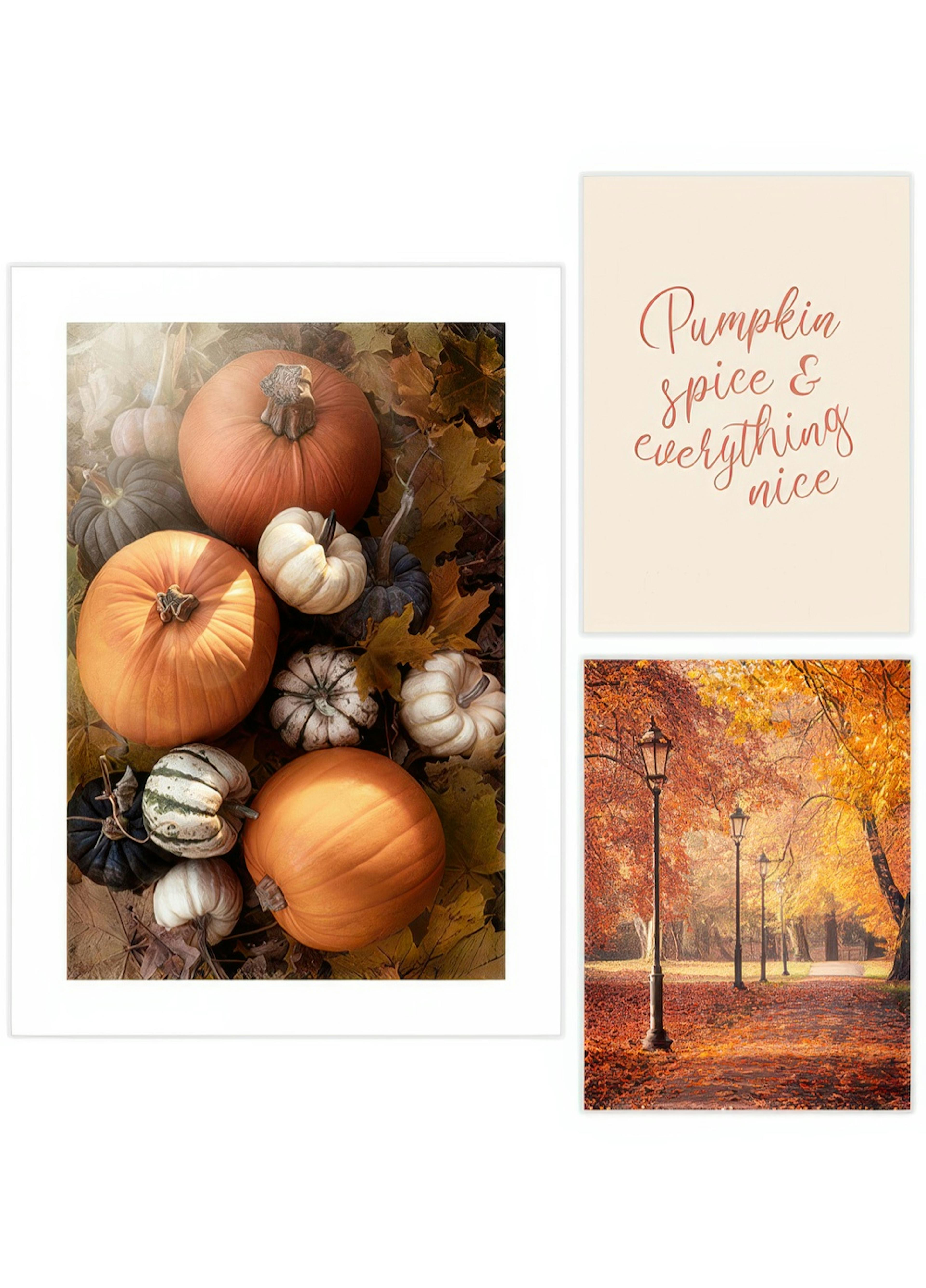 Pumpkin pacchetto di poster thumbnail