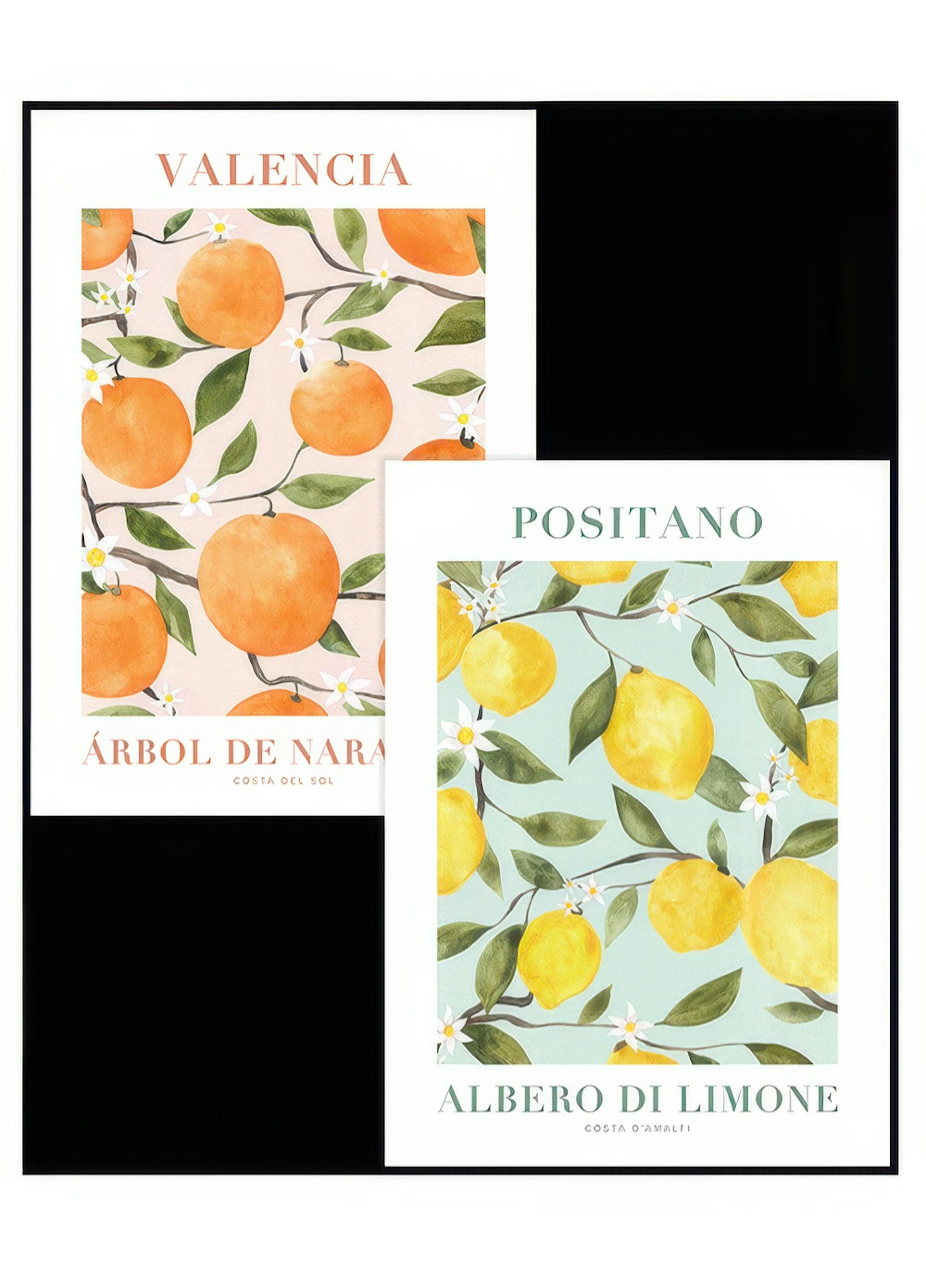 Agrumes Duo Lot de Posters thumbnail