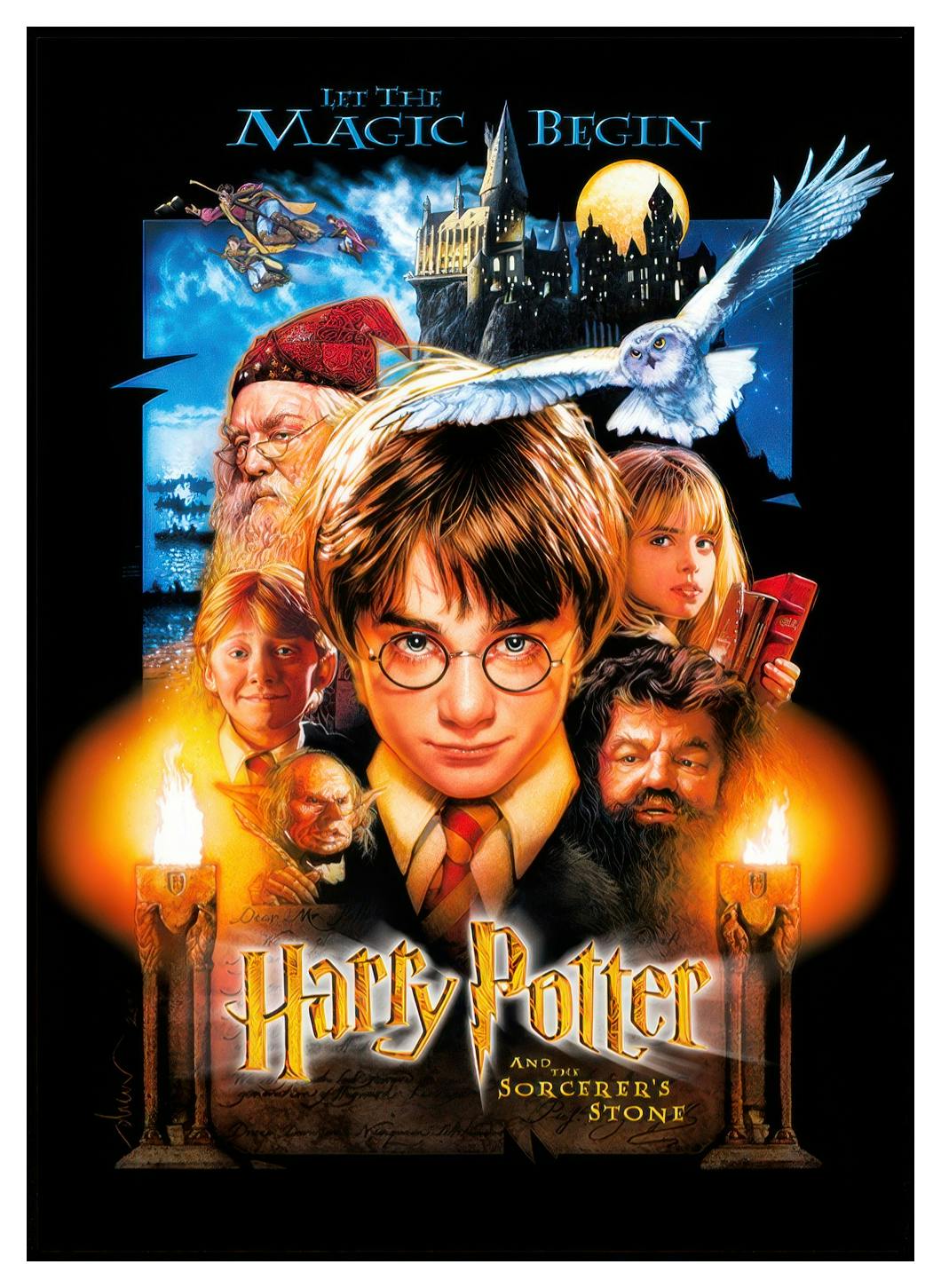 Harry Potter™ - Sorcerer's Stone Poster (30x40 cm) - Poster Store
