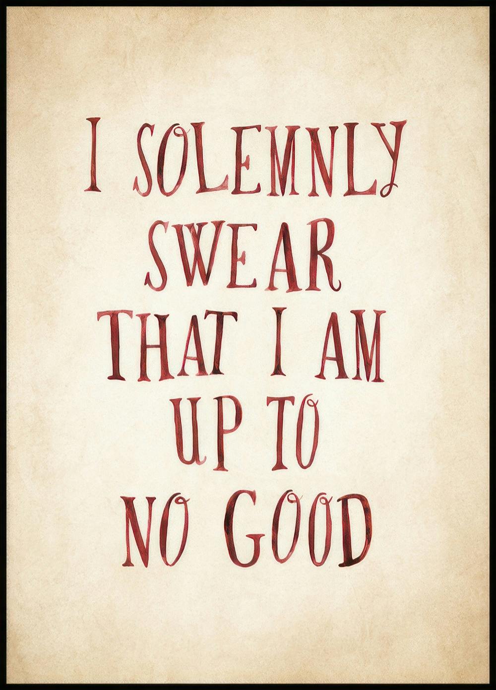 Harry Potter™ - I Solemnly Swear Poster 0