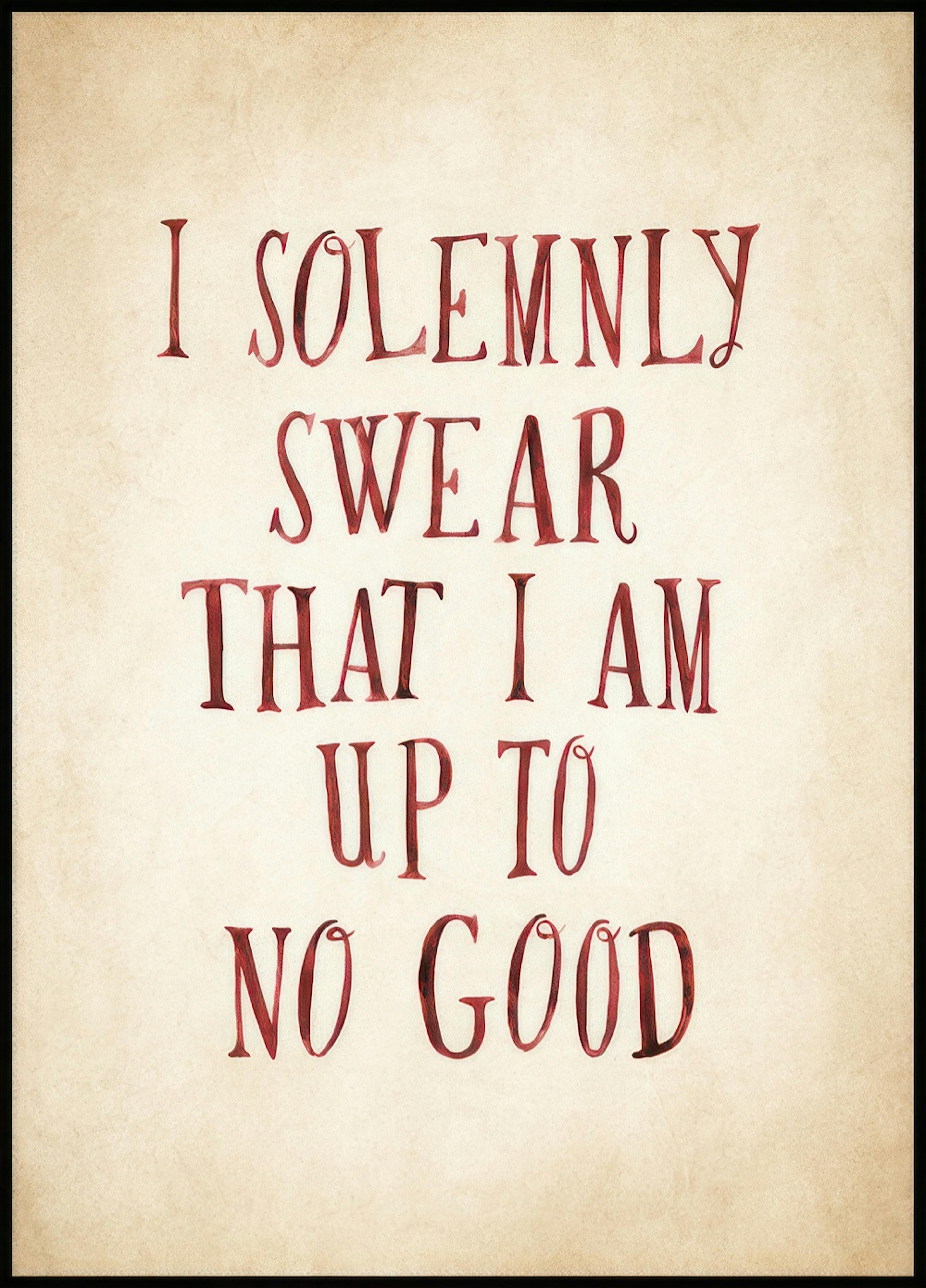 Harry Potter™ - I Solemnly Swear Plakát 0
